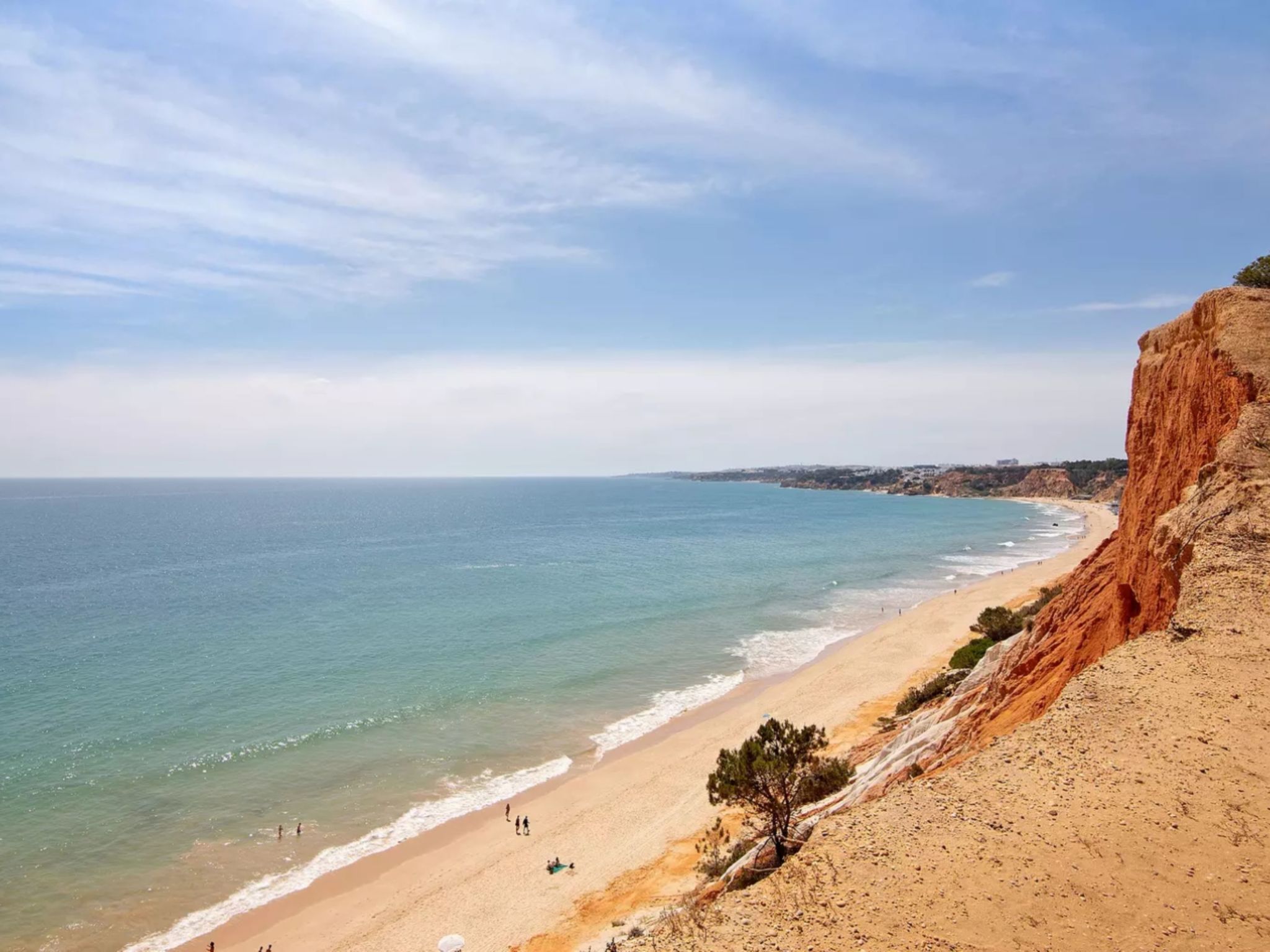 Photo of Kaya- Sunny Way