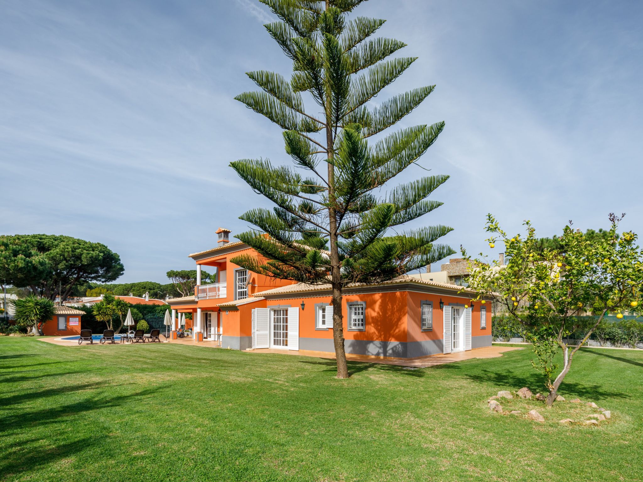 Zunge 3-Image-tags.info