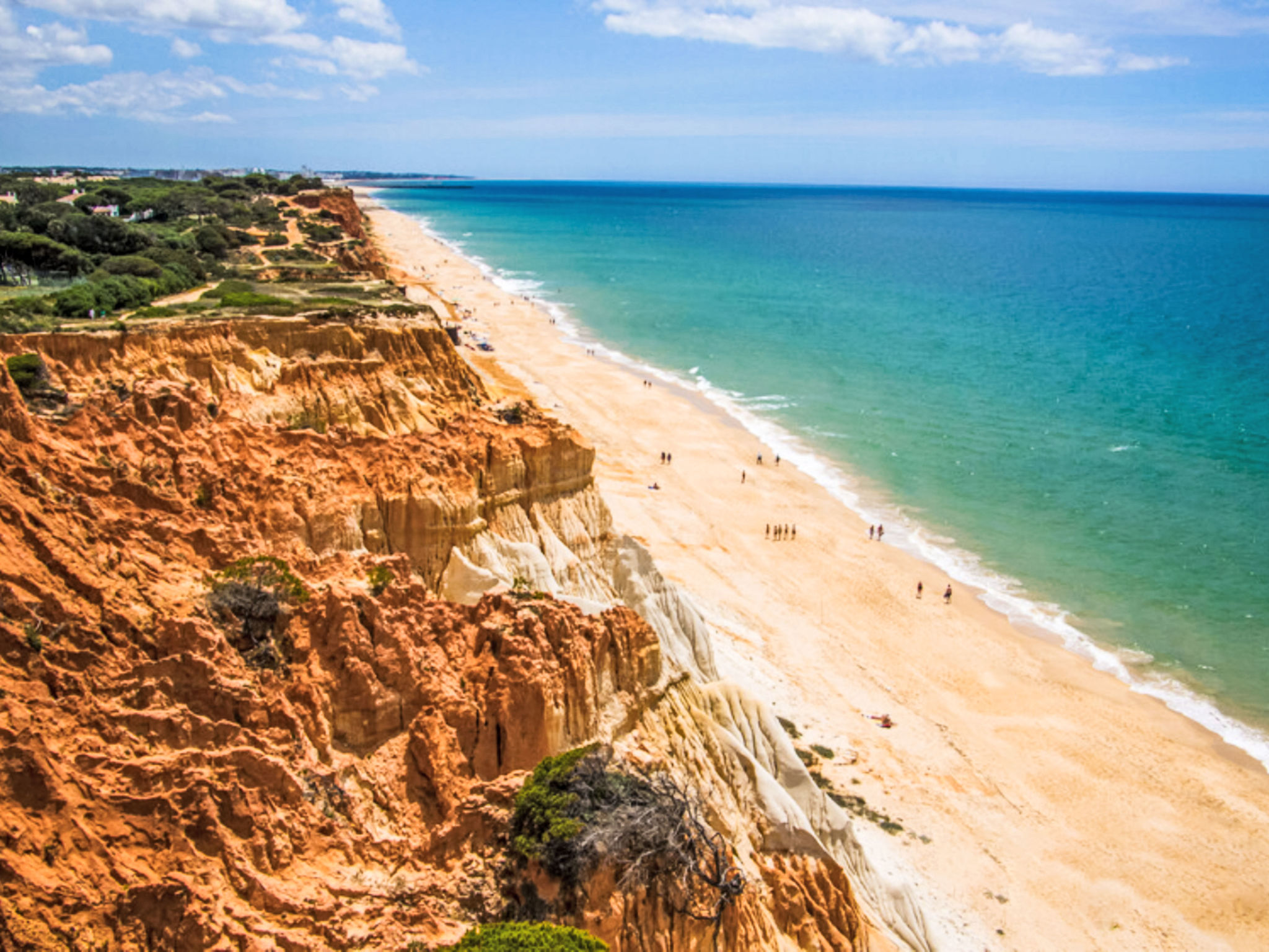 Photo of Medusa - Sunny Way