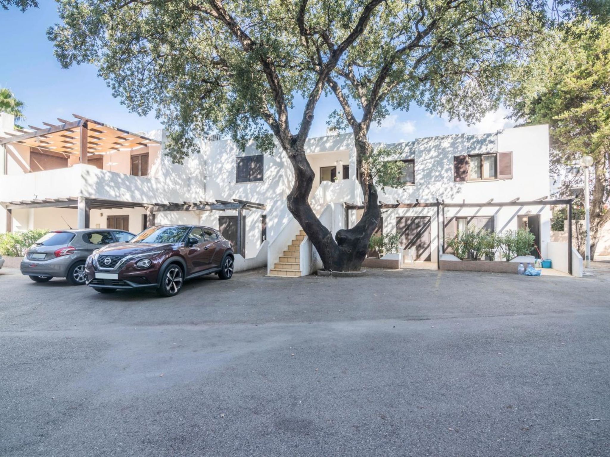 Patrick - Sunny Way-Draußen