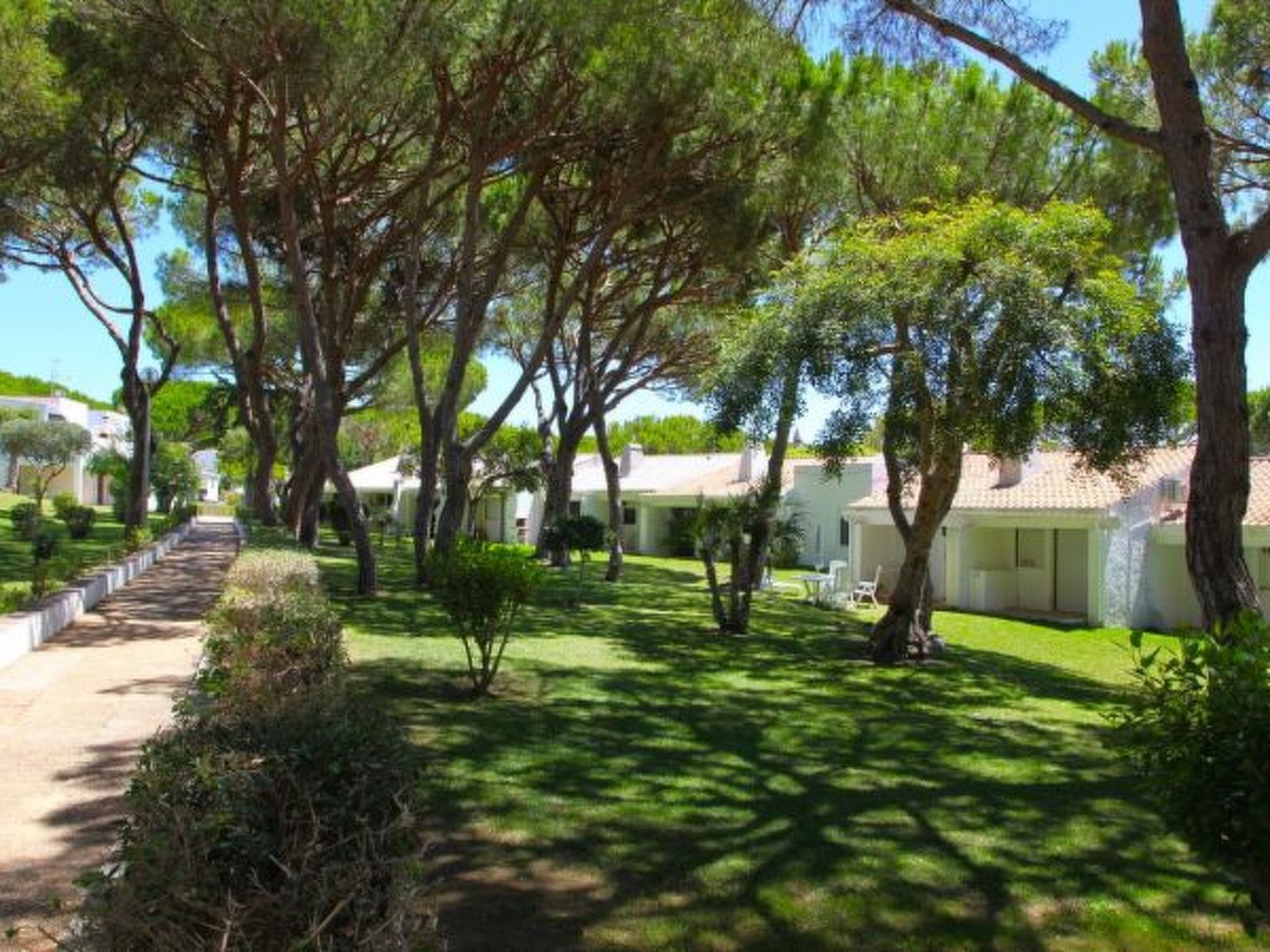 Photo of Açoteias Studio