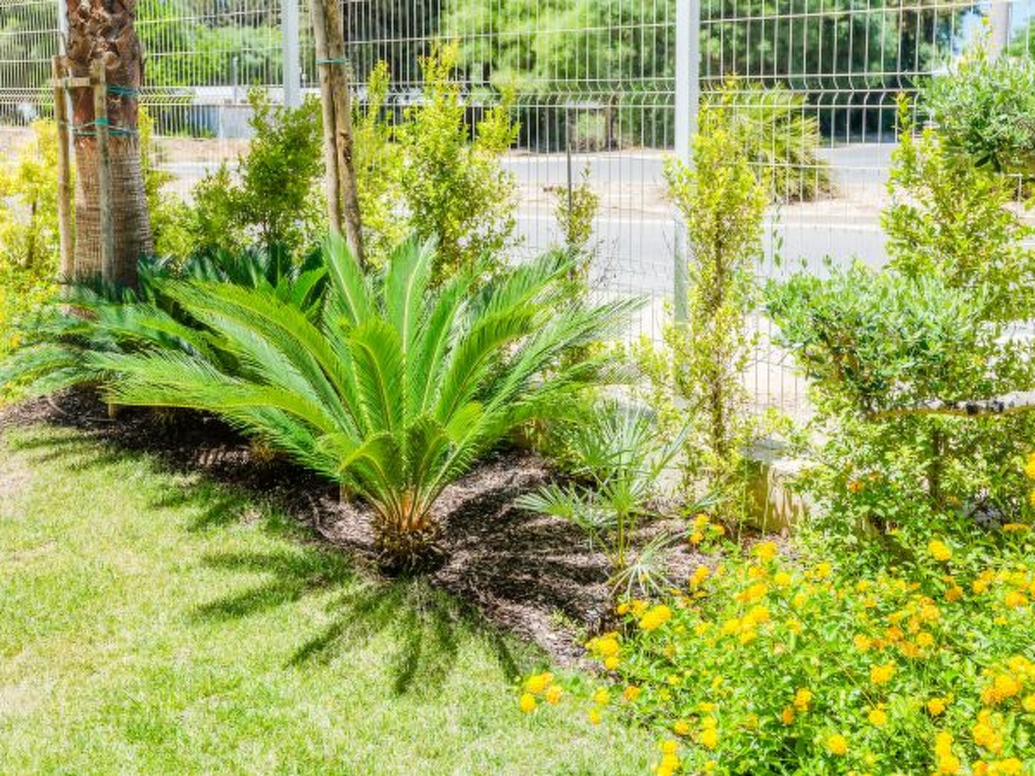 Photo of Lakes 24 at Praia da Falesia Vilamoura