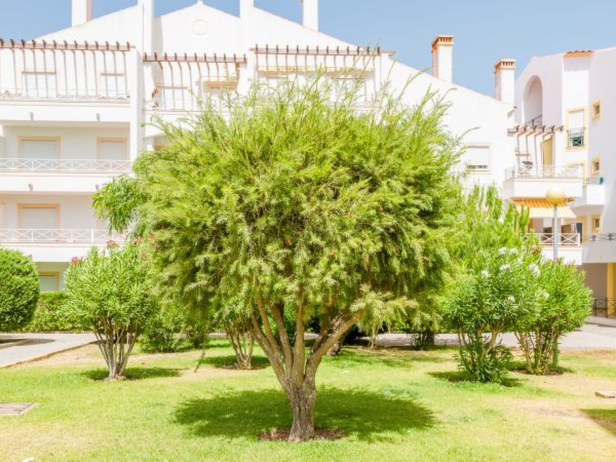 Photo of Alfamar Apartment at Praia da Falesia
