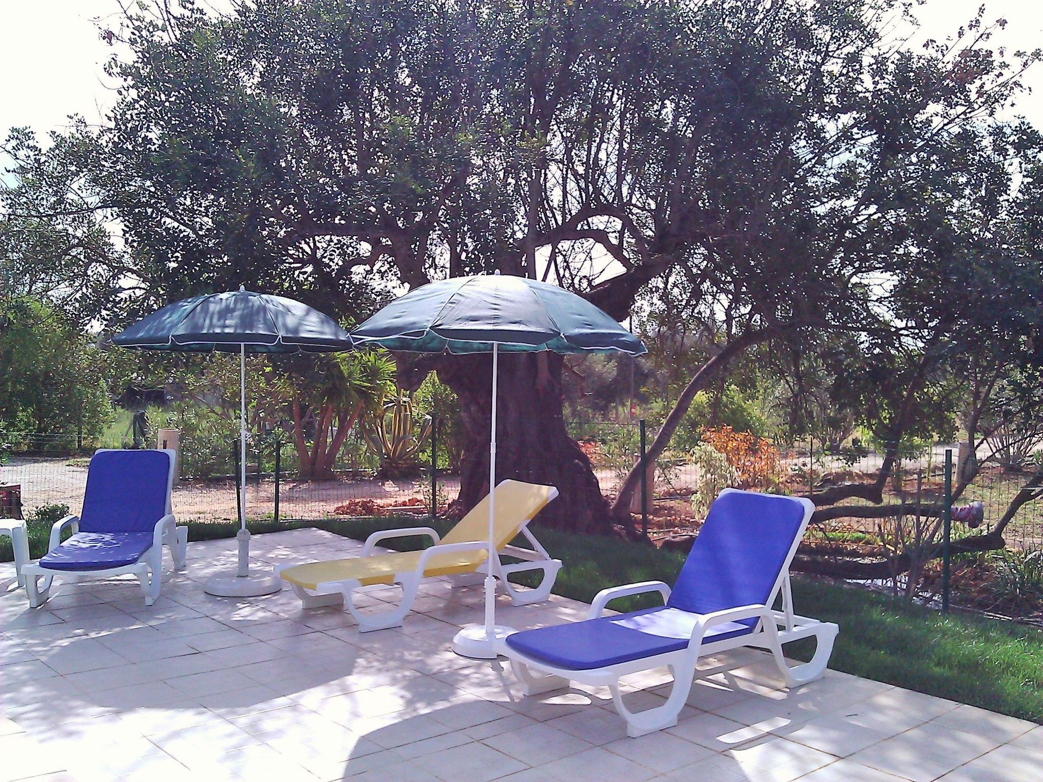 mit Terrasse — Pool Outdoor (3 of 17)