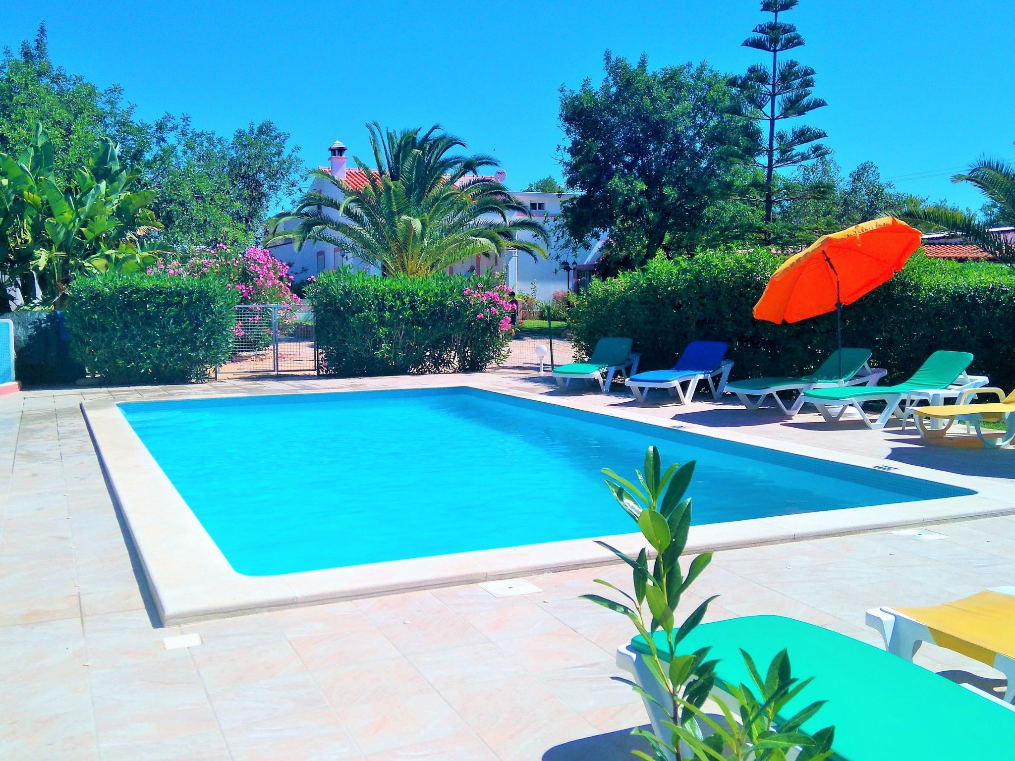 Vakantiehuis met privé zwembad in Guia (Portugal) voor 25 personen