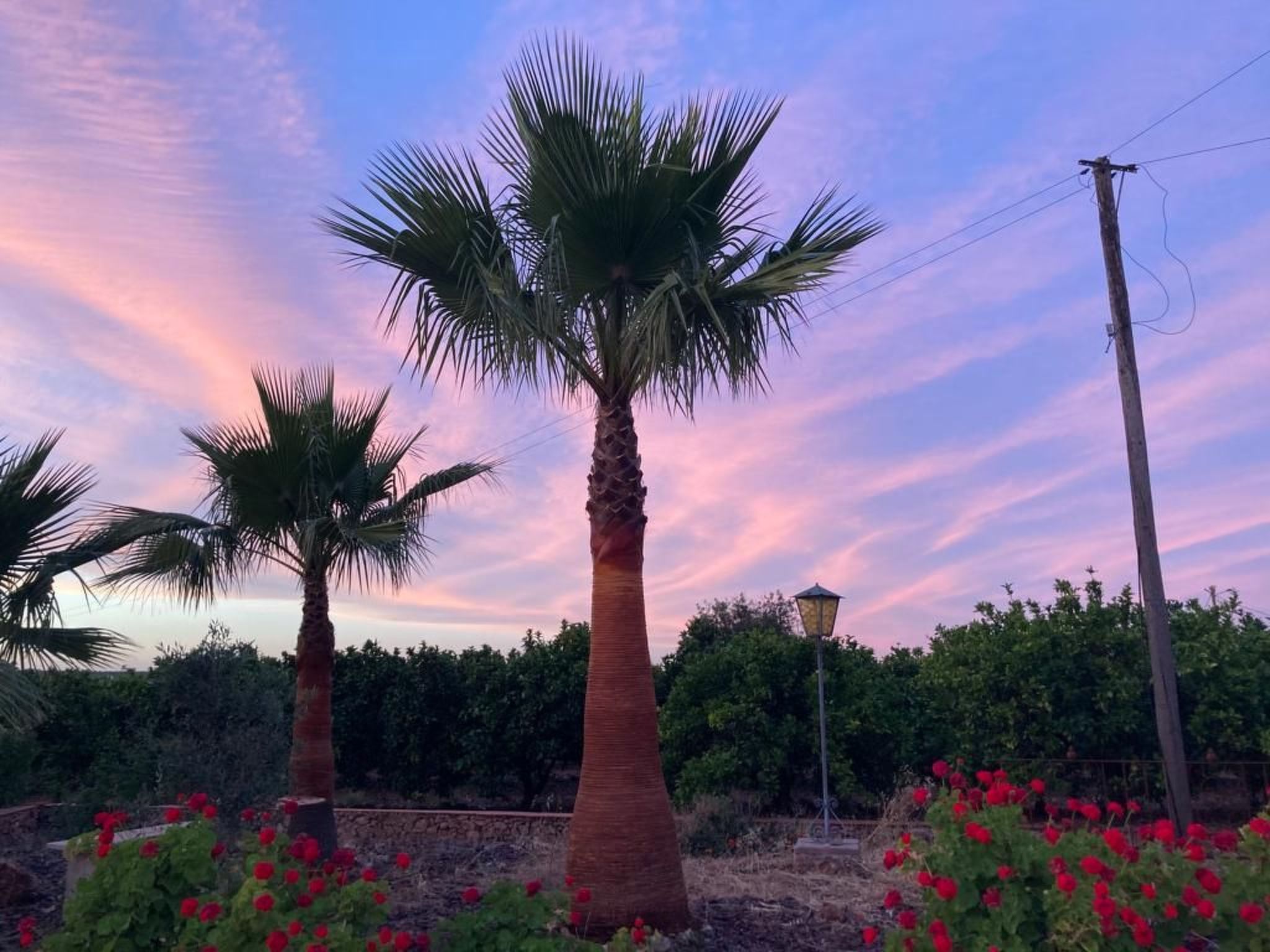 Stilvolles Landhaus an der Algarve-Image-tags.info