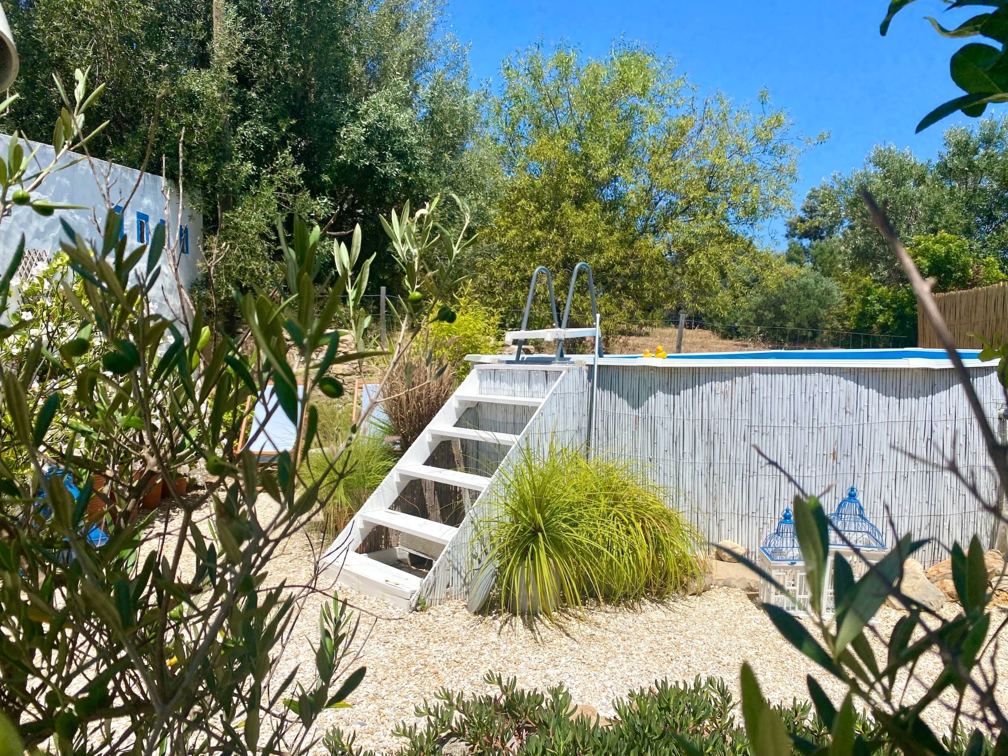 Vila Primaveira , Nur für Erwachsene-Dedans