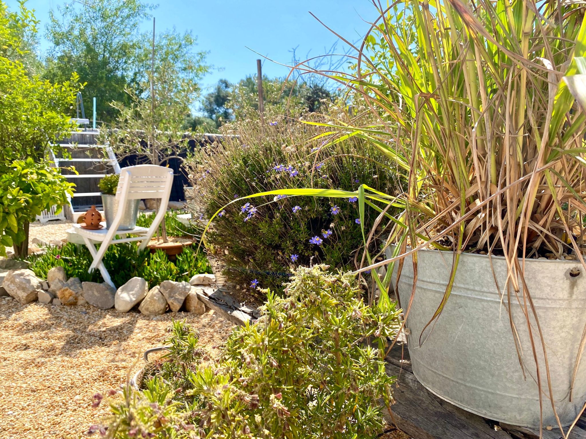 Vila Primaveira , Nur für Erwachsene-Dedans