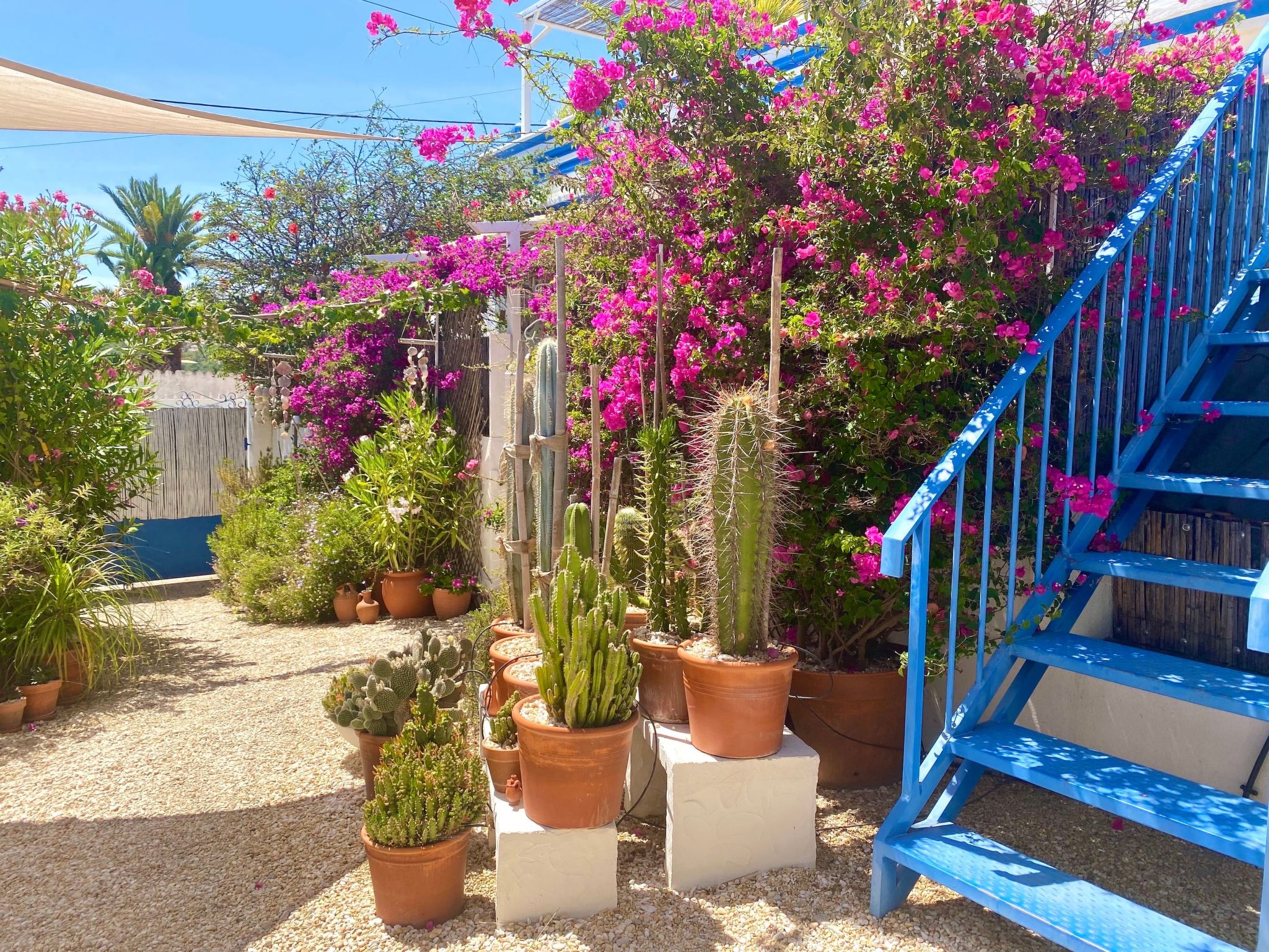 Vila Primaveira , Nur für Erwachsene-Dedans