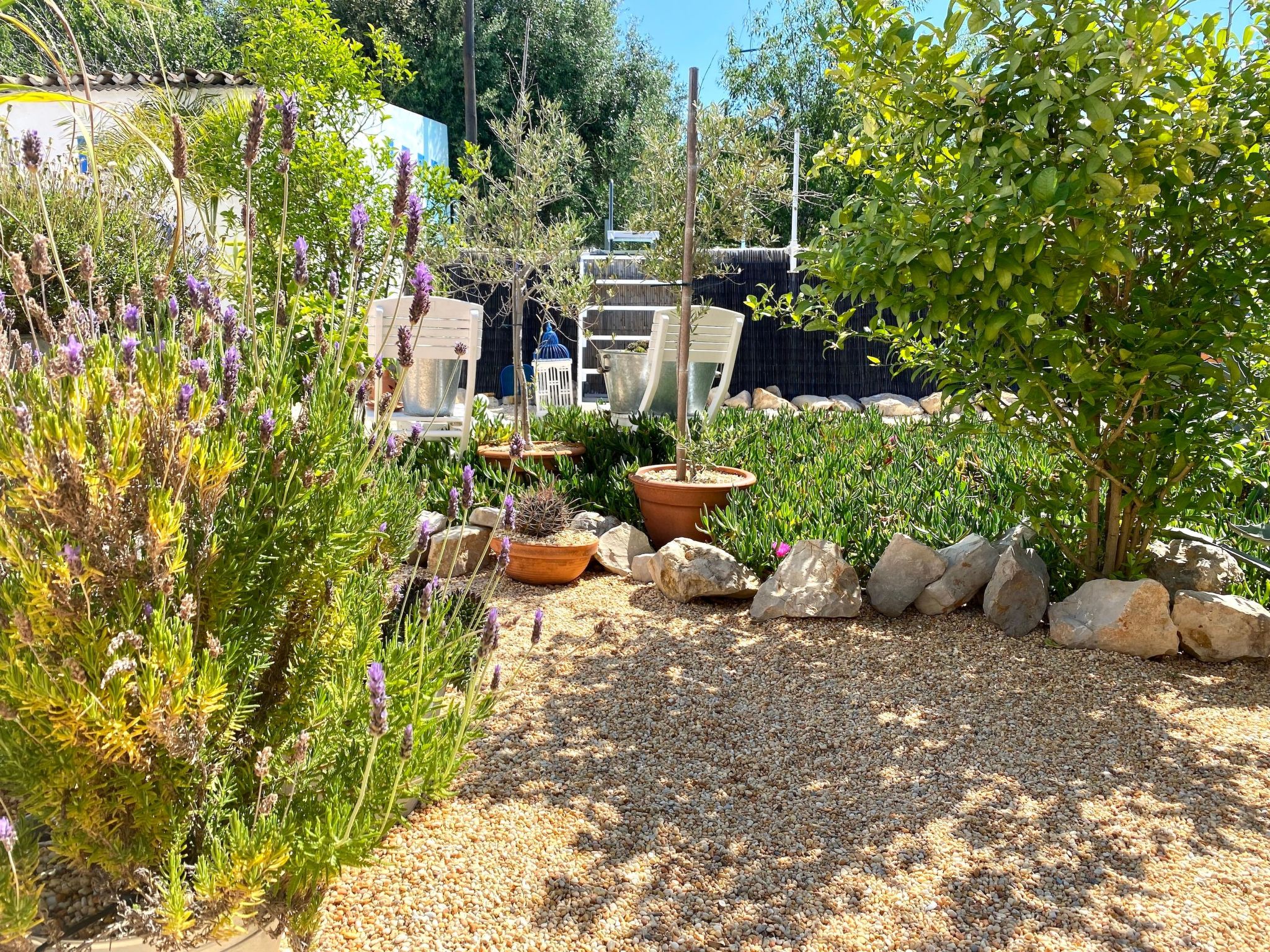 Vila Primaveira , Nur für Erwachsene-Dedans