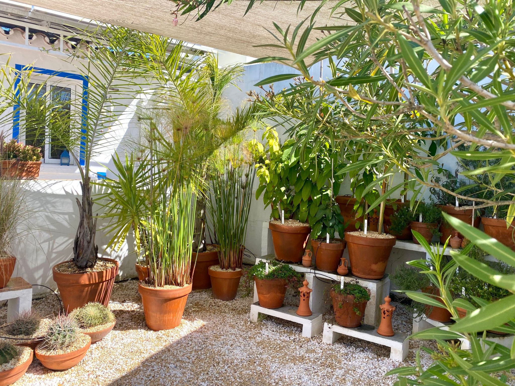 Vila Primaveira , Nur für Erwachsene-Dedans