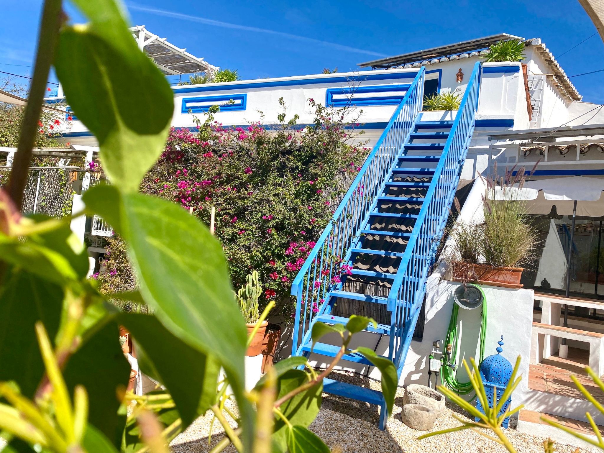 Vila Primaveira , Nur für Erwachsene-Dedans