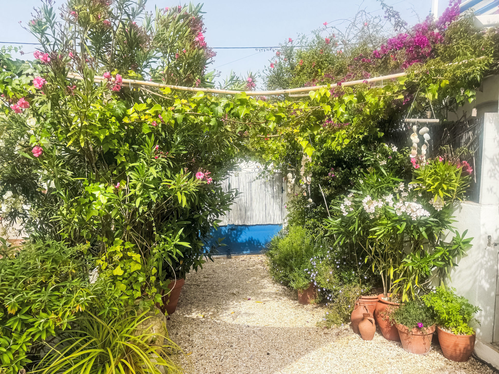 Vila Verão Nur für Erwachsene