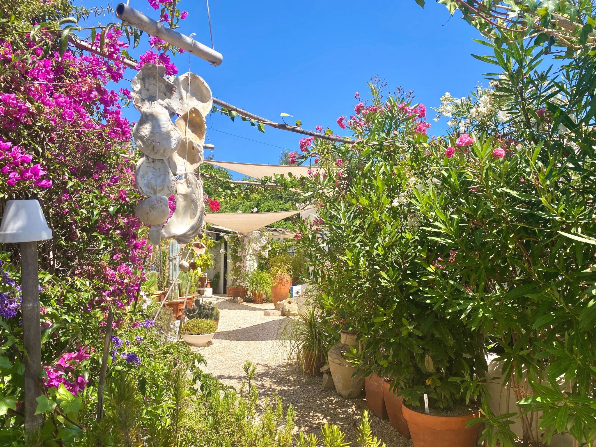 Vila Verão Nur für Erwachsene-Binnen