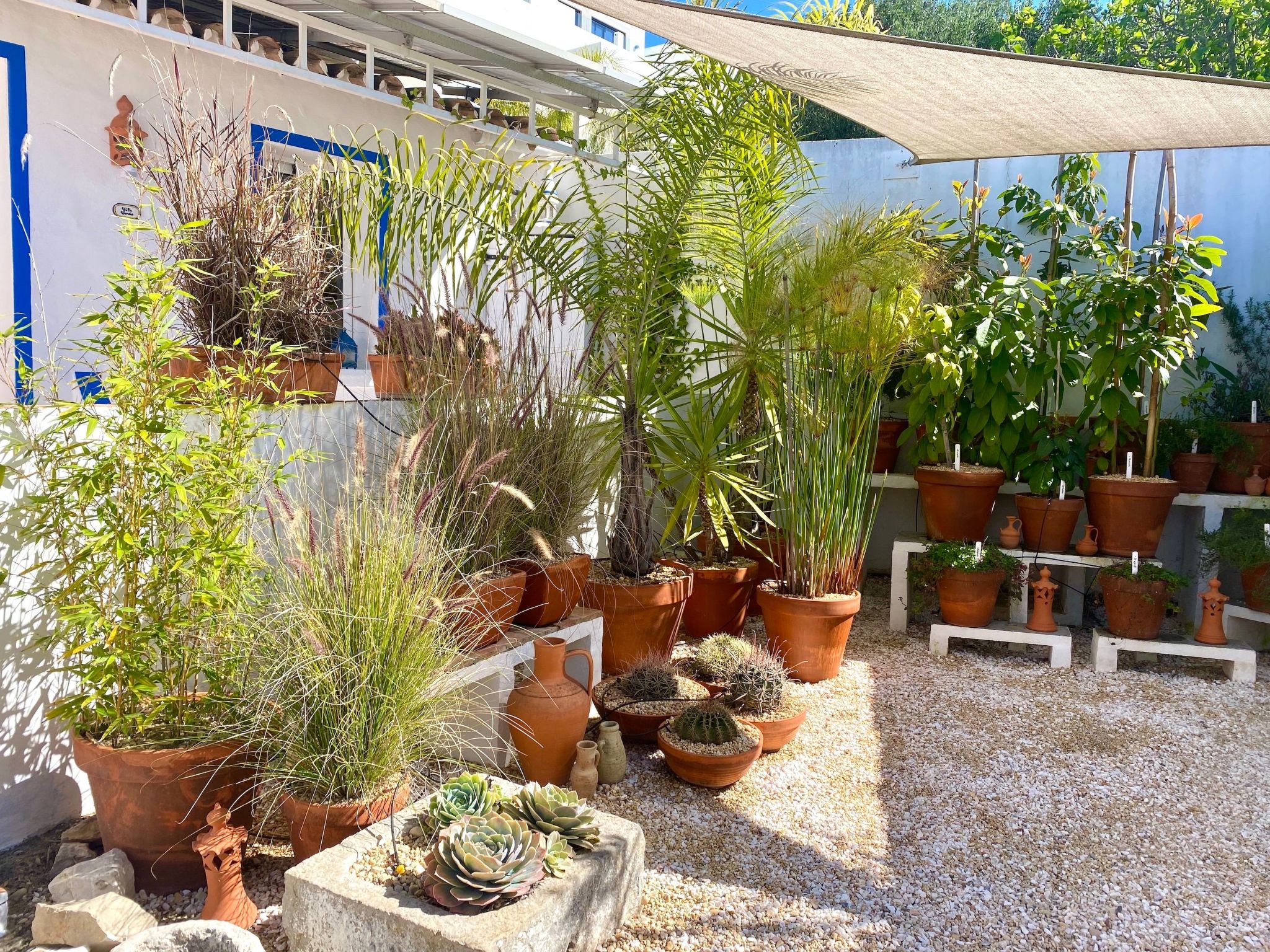 Vila Verão Nur für Erwachsene-Binnen