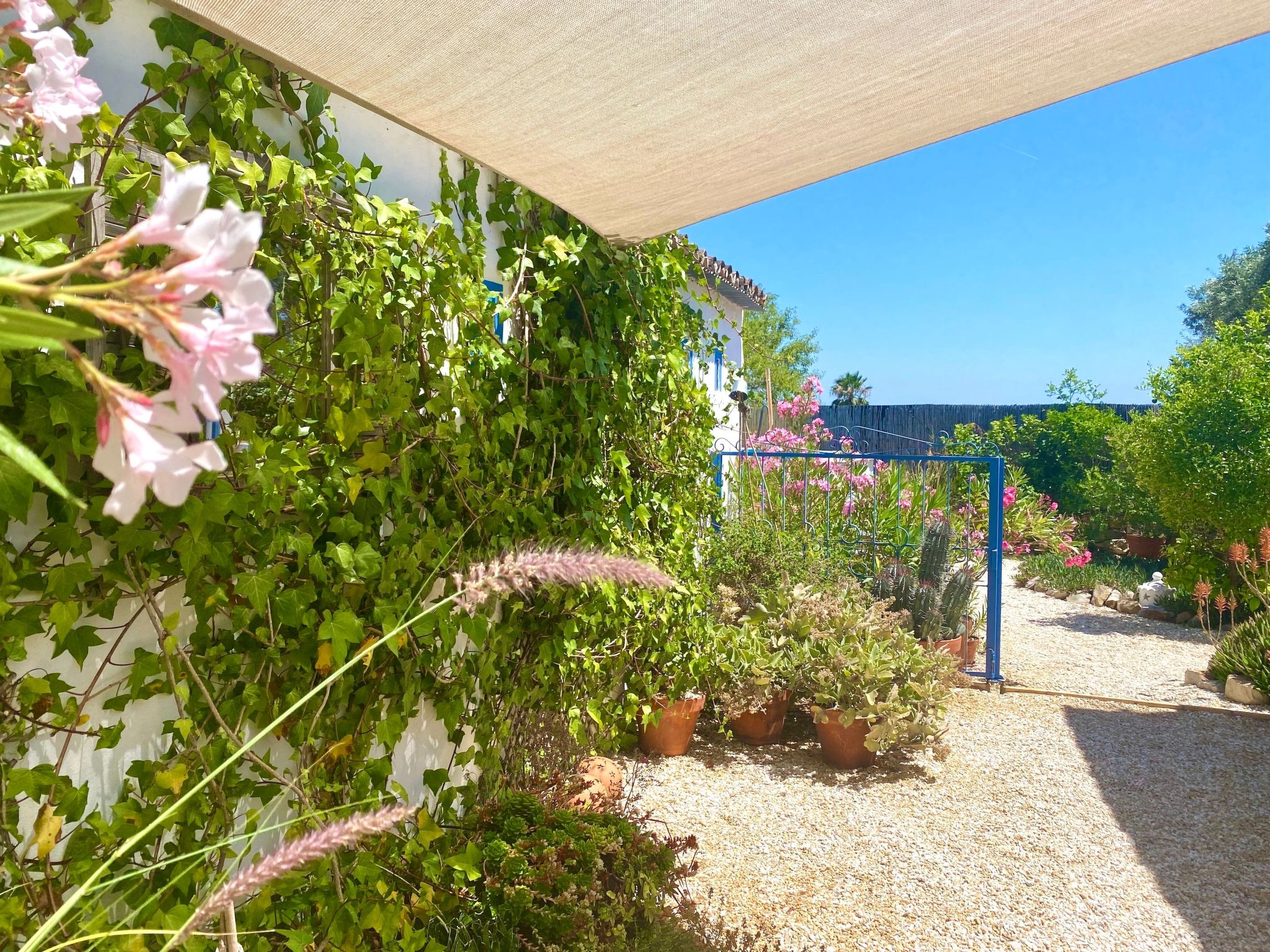 Vila Verão Nur für Erwachsene-Binnen