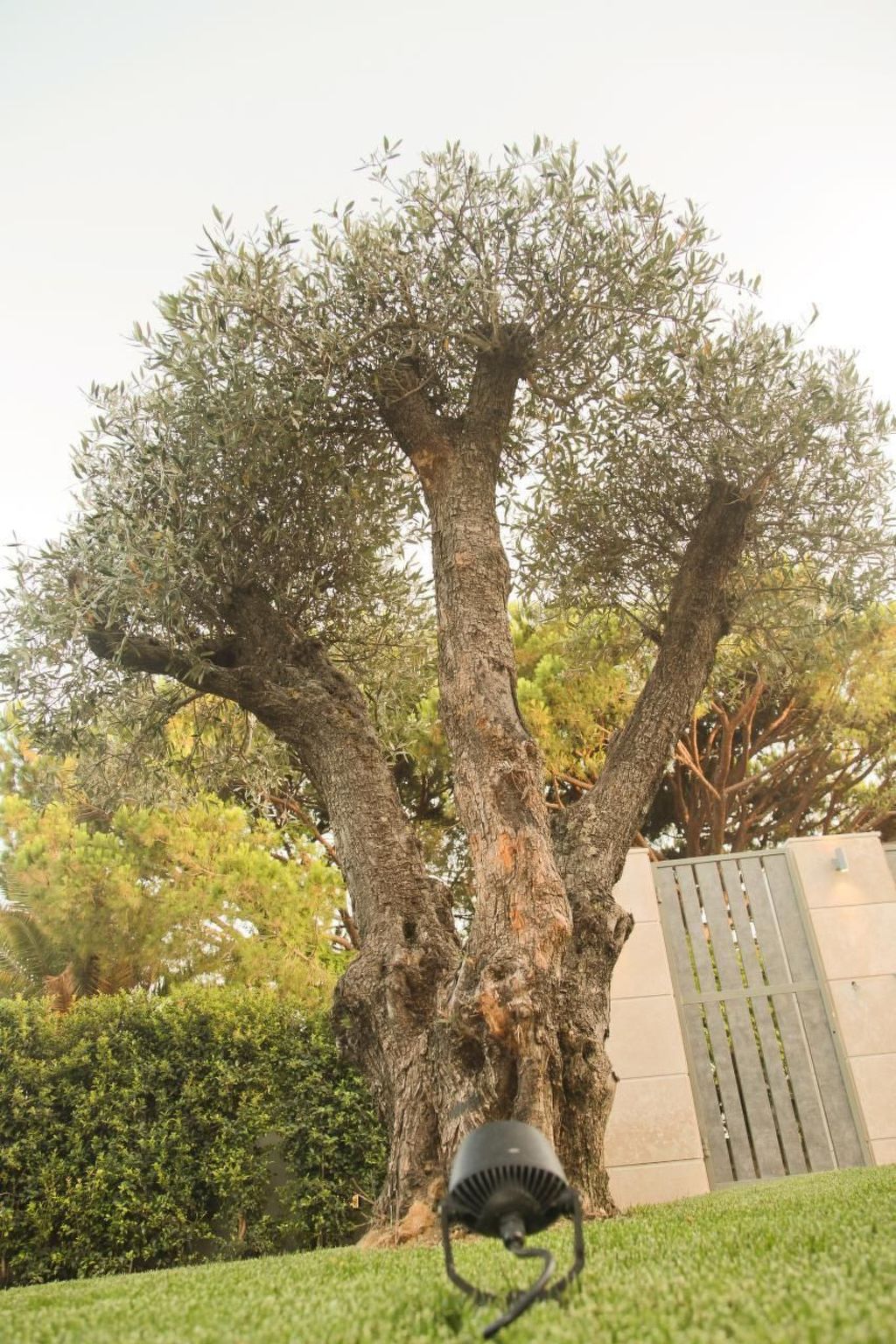 In Almancil mit Garten, Grill und Terrasse-Dehors