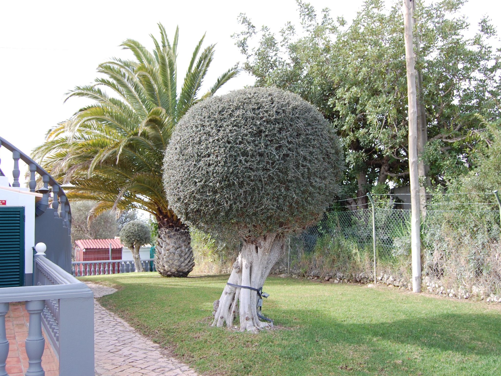 Villa Monte Alegrete-Dedans