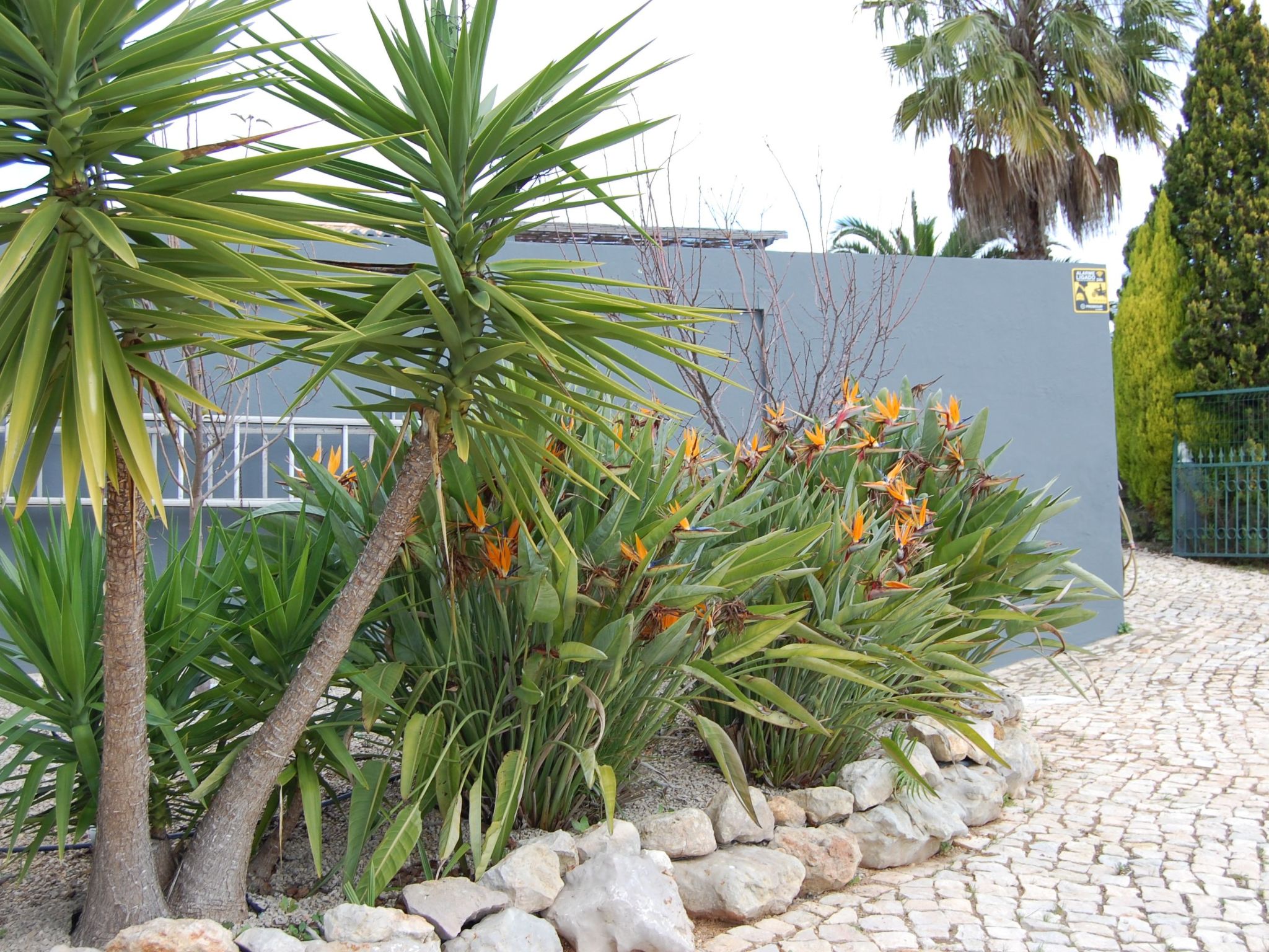 Villa Monte Alegrete-Dedans