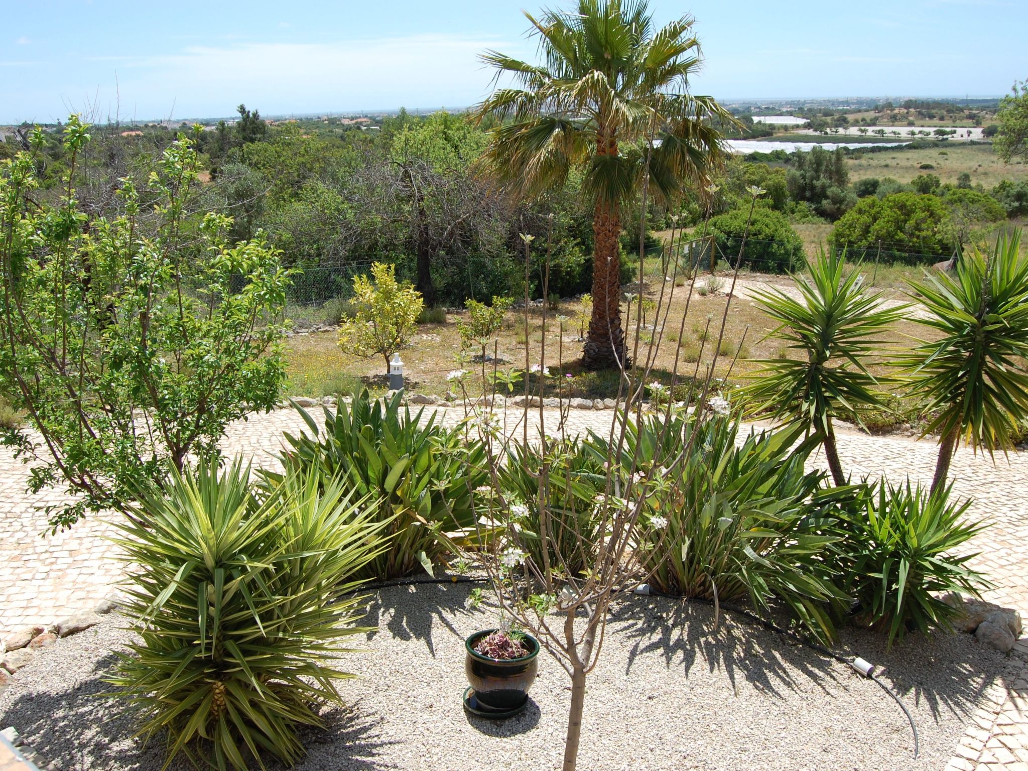 Villa Monte Alegrete-Dedans