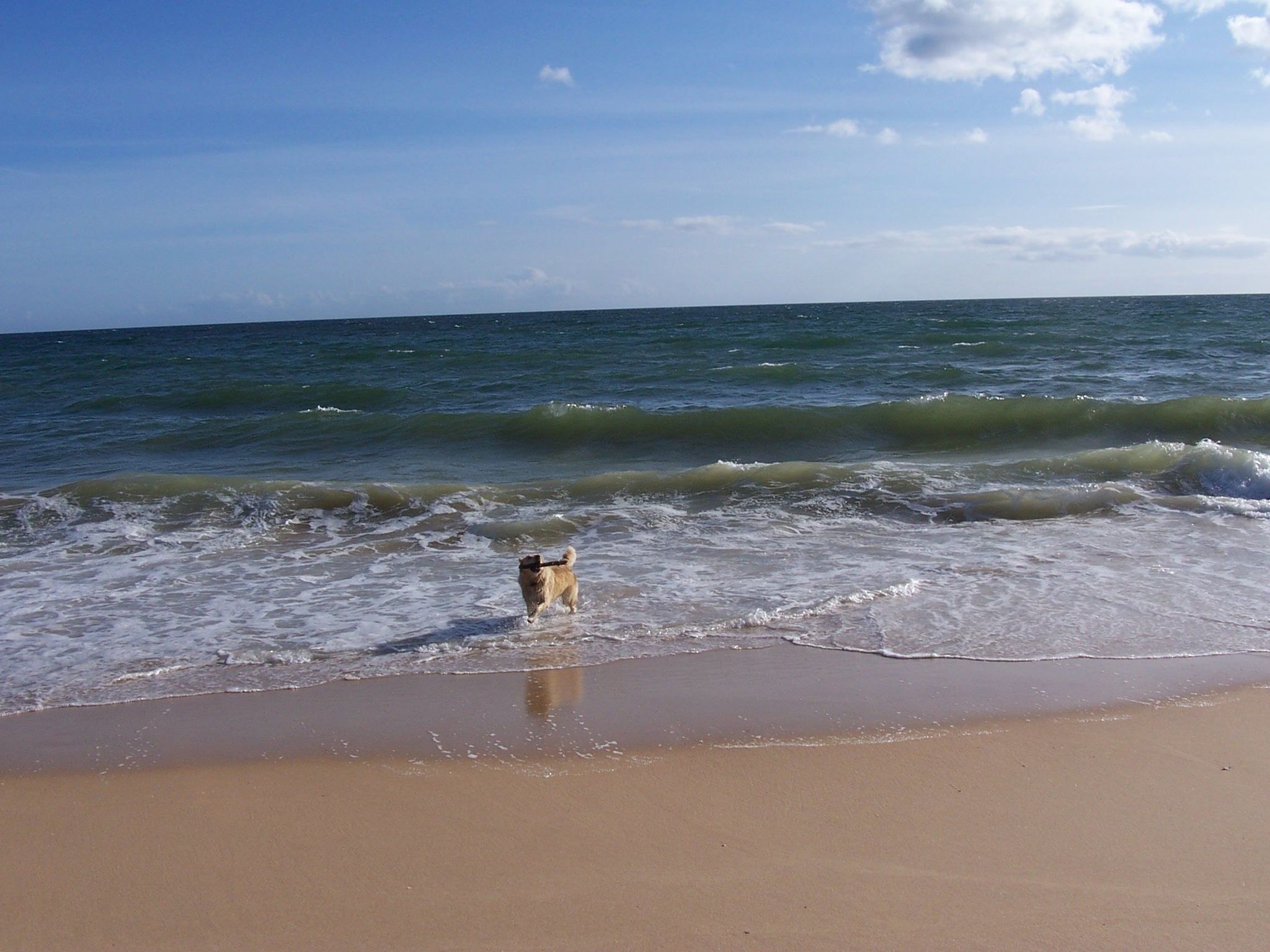 Villa Monte Alegrete-Dedans