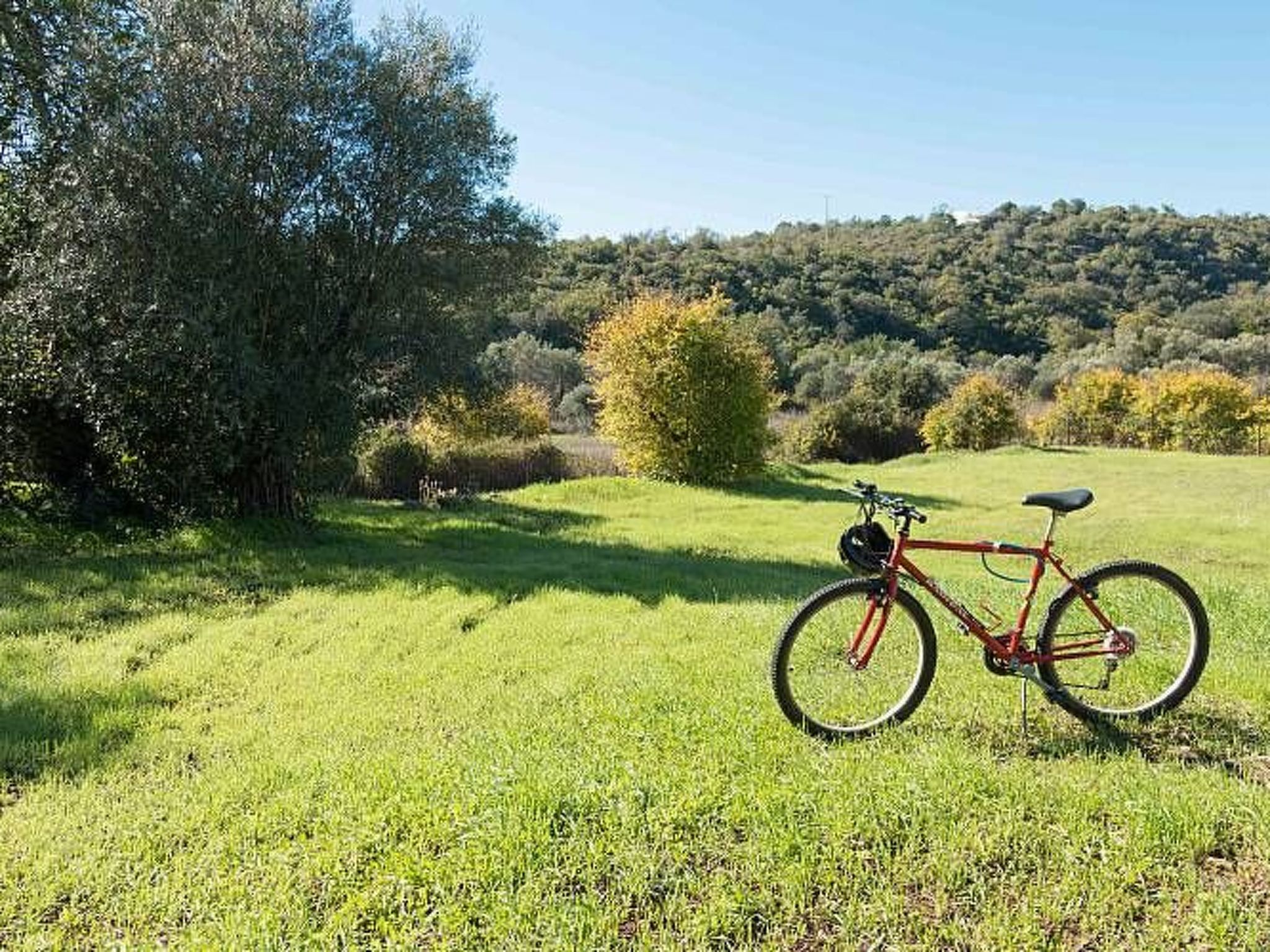 Berghütte "Villa Romao"-Binnen