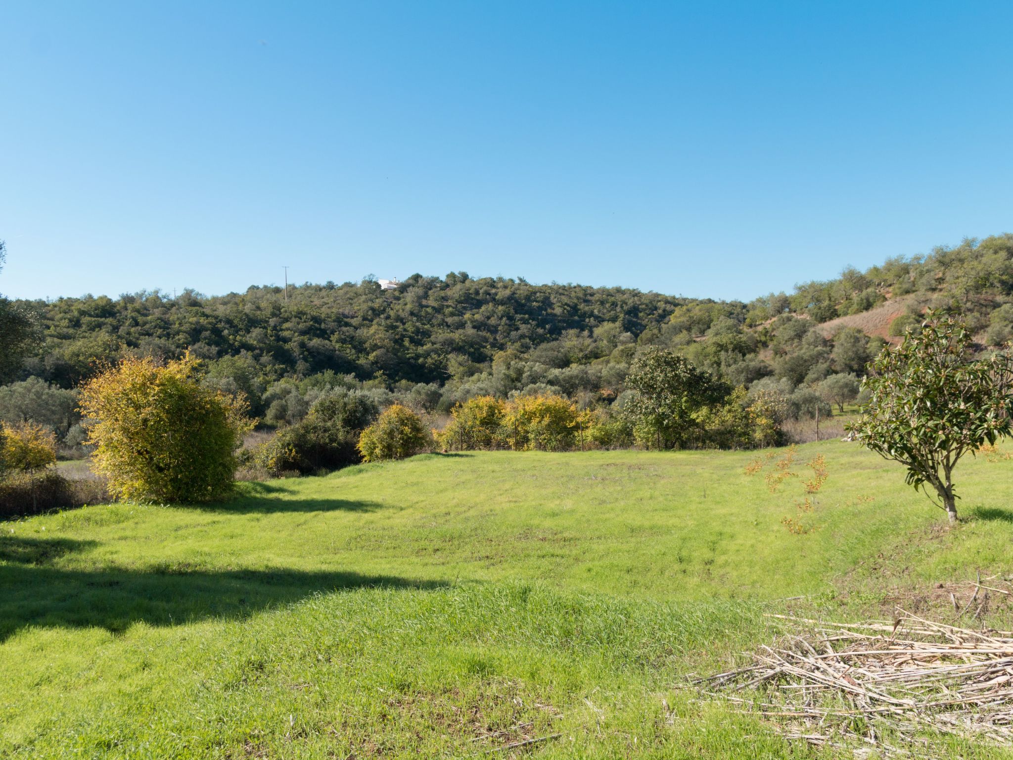 Berghütte "Villa Romao"-Binnen