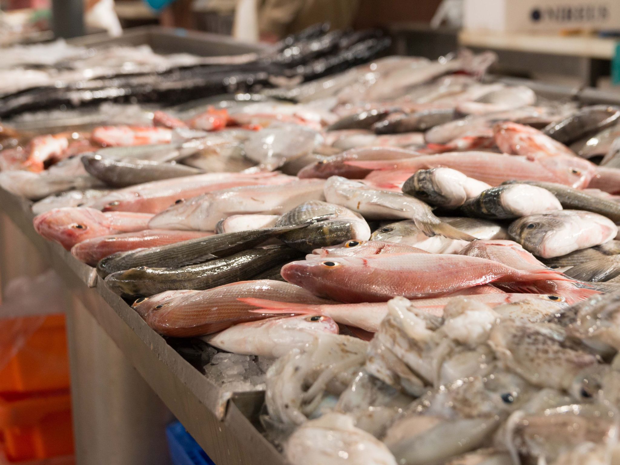 Berghütte "Villa Romao"-Binnen