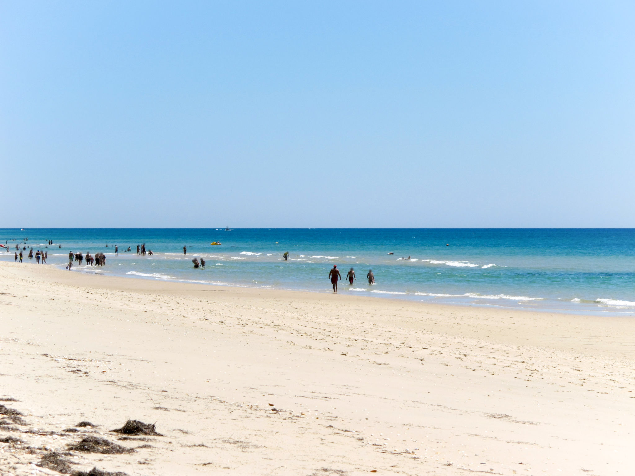 Jardim do Sul-Omgeving