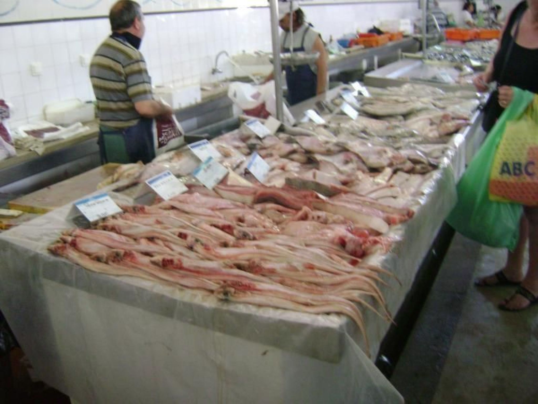 Apart Ria Formosa-Binnen