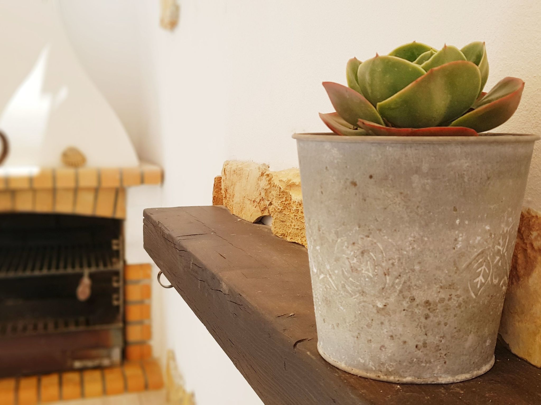 "Estrelinha da Fuzeta"