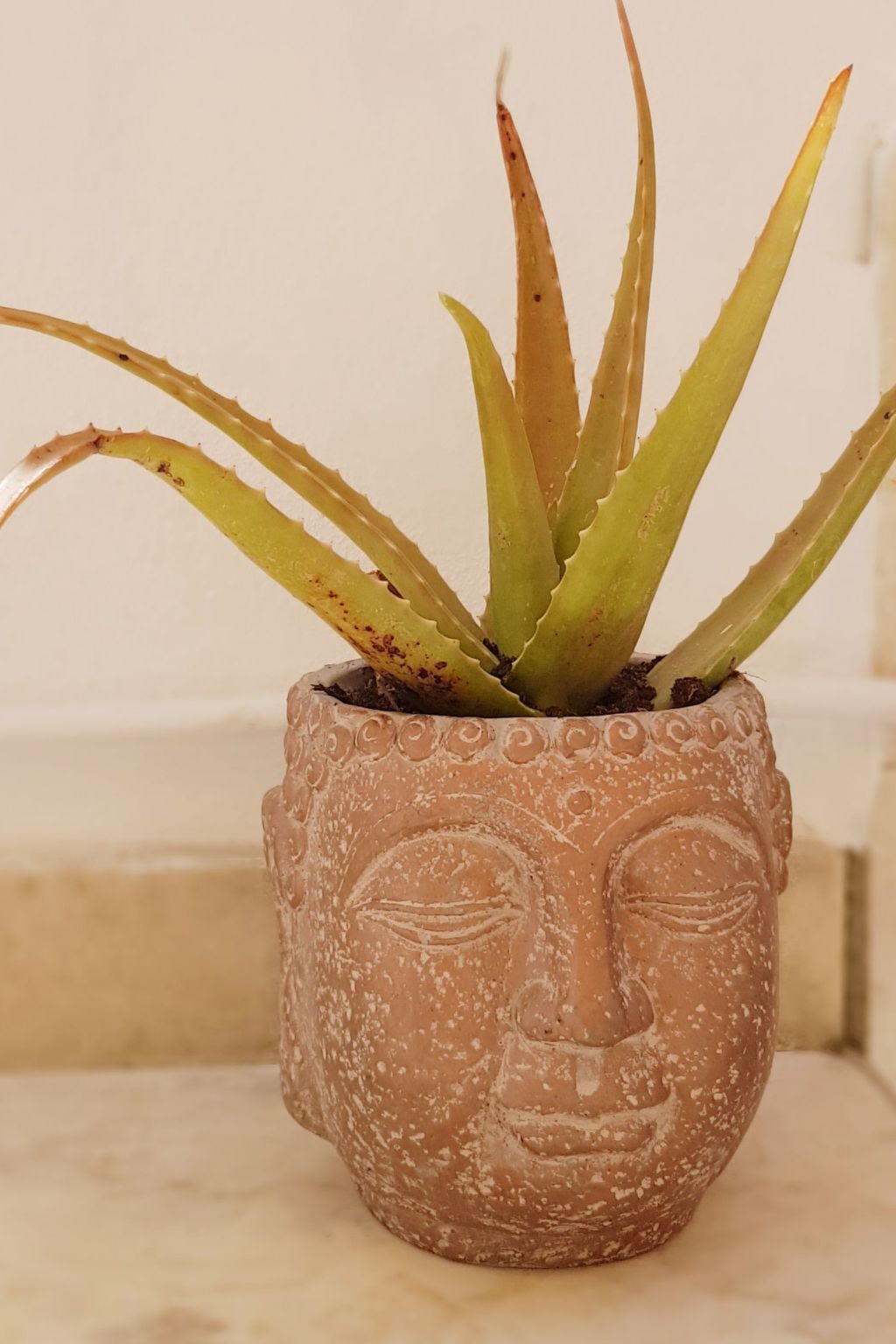 "Estrelinha da Fuzeta"-Image-tags.info