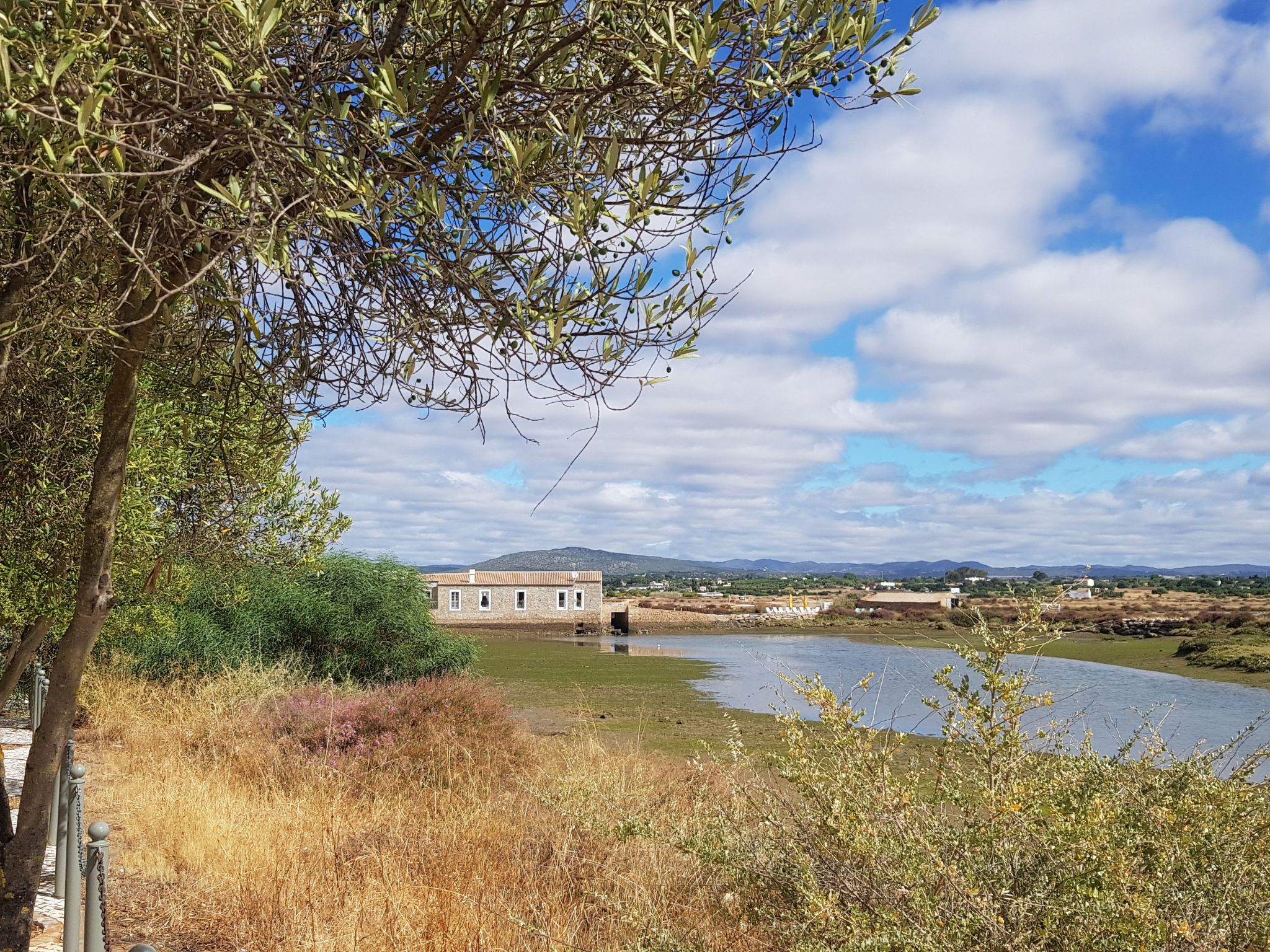 "Estrelinha da Fuzeta"-Image-tags.info