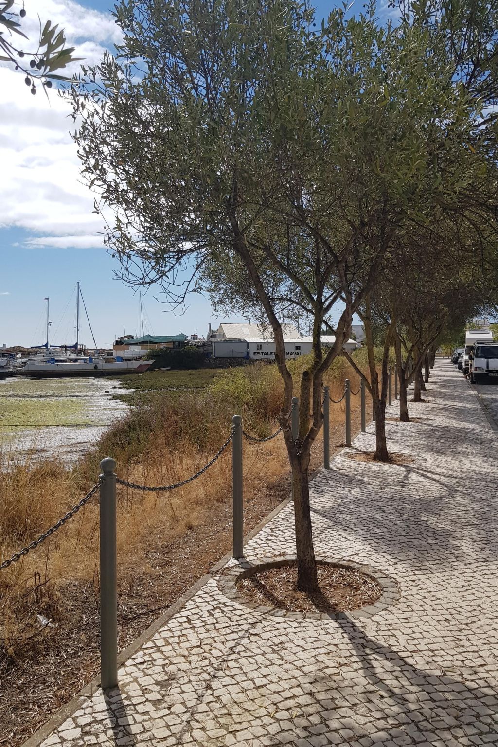 "Estrelinha da Fuzeta"-Dehors