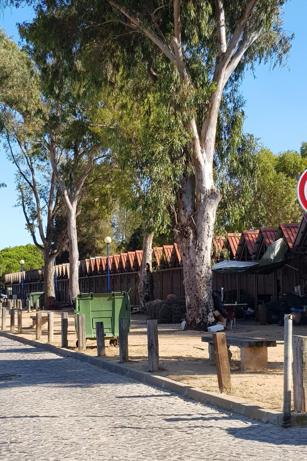 "Estrelinha da Fuzeta"-Image-tags.info