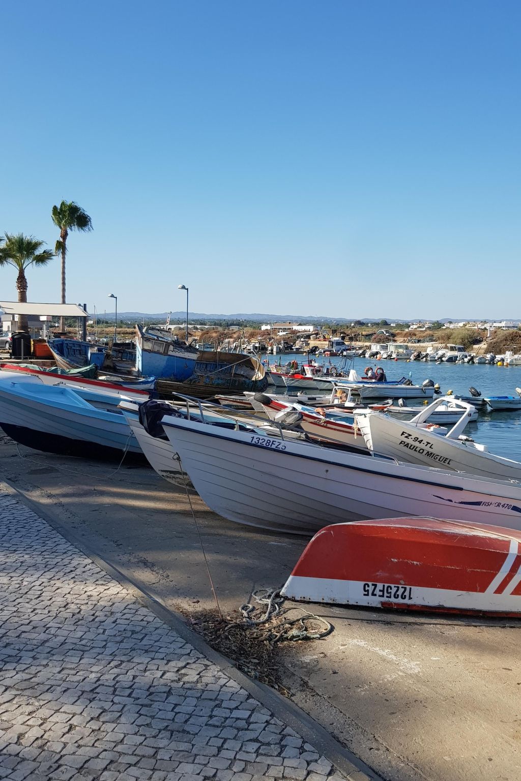 "Estrelinha da Fuzeta"-Image-tags.info