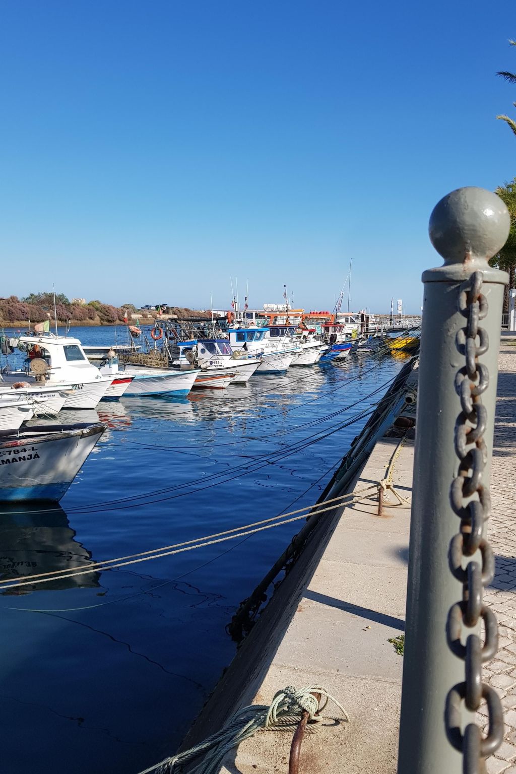 "Estrelinha da Fuzeta"-Image-tags.info