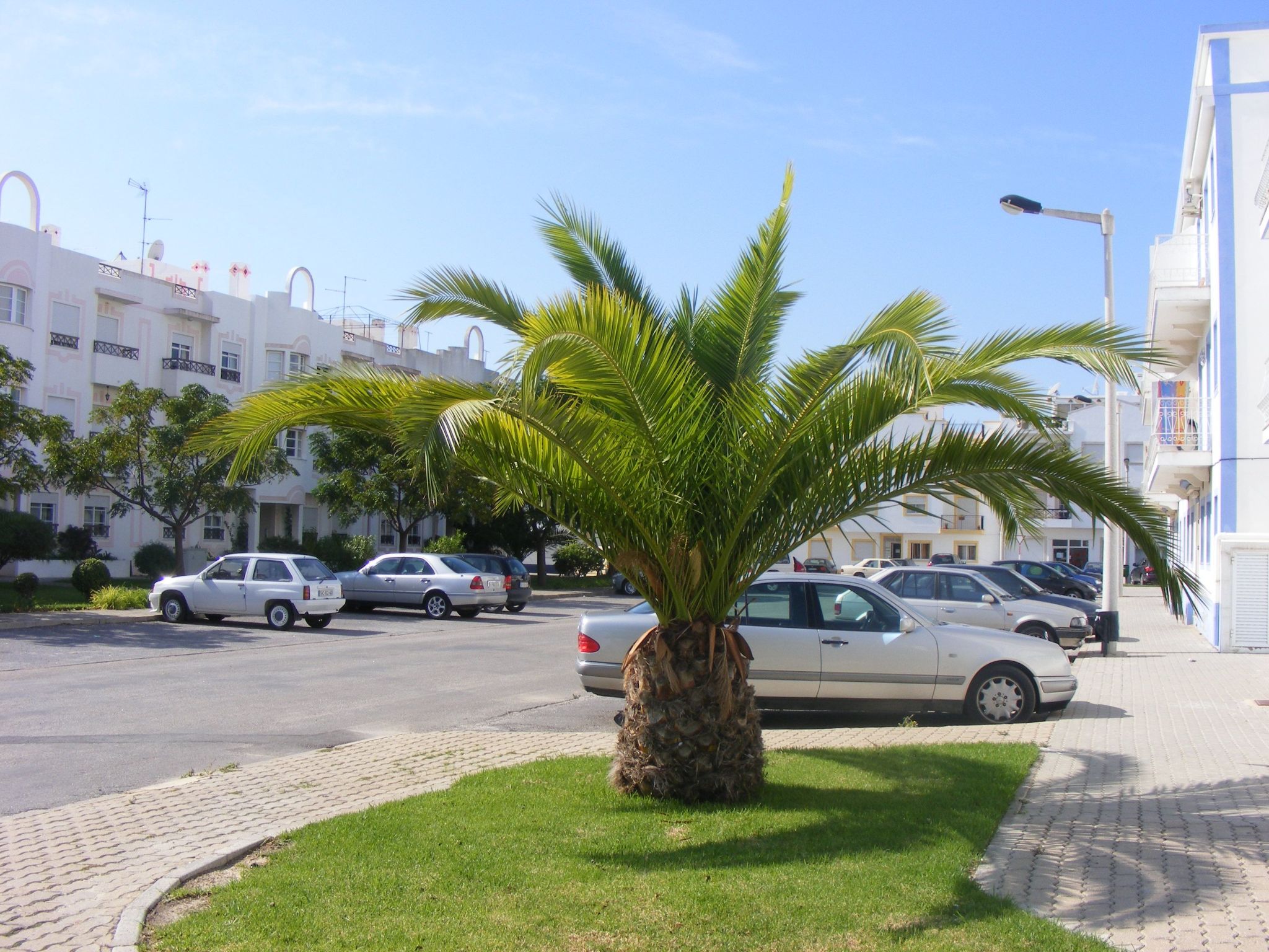 Apartamento Santa Luzia-Binnen