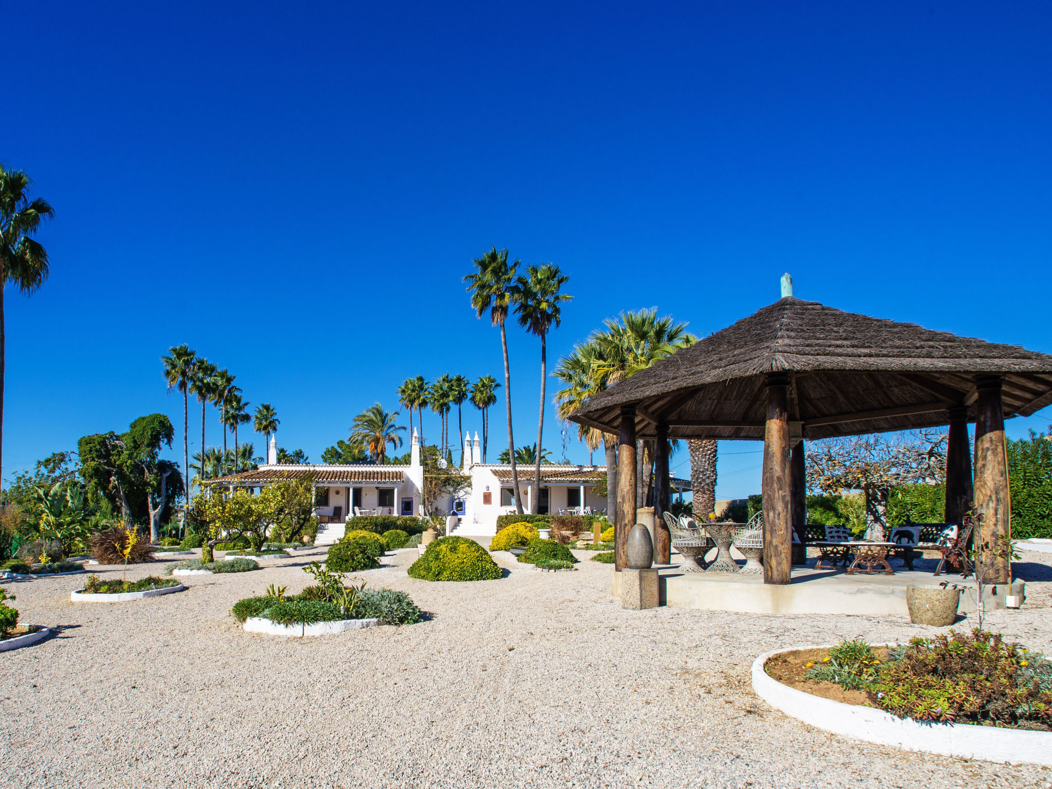 Photo of Luz Romana B2