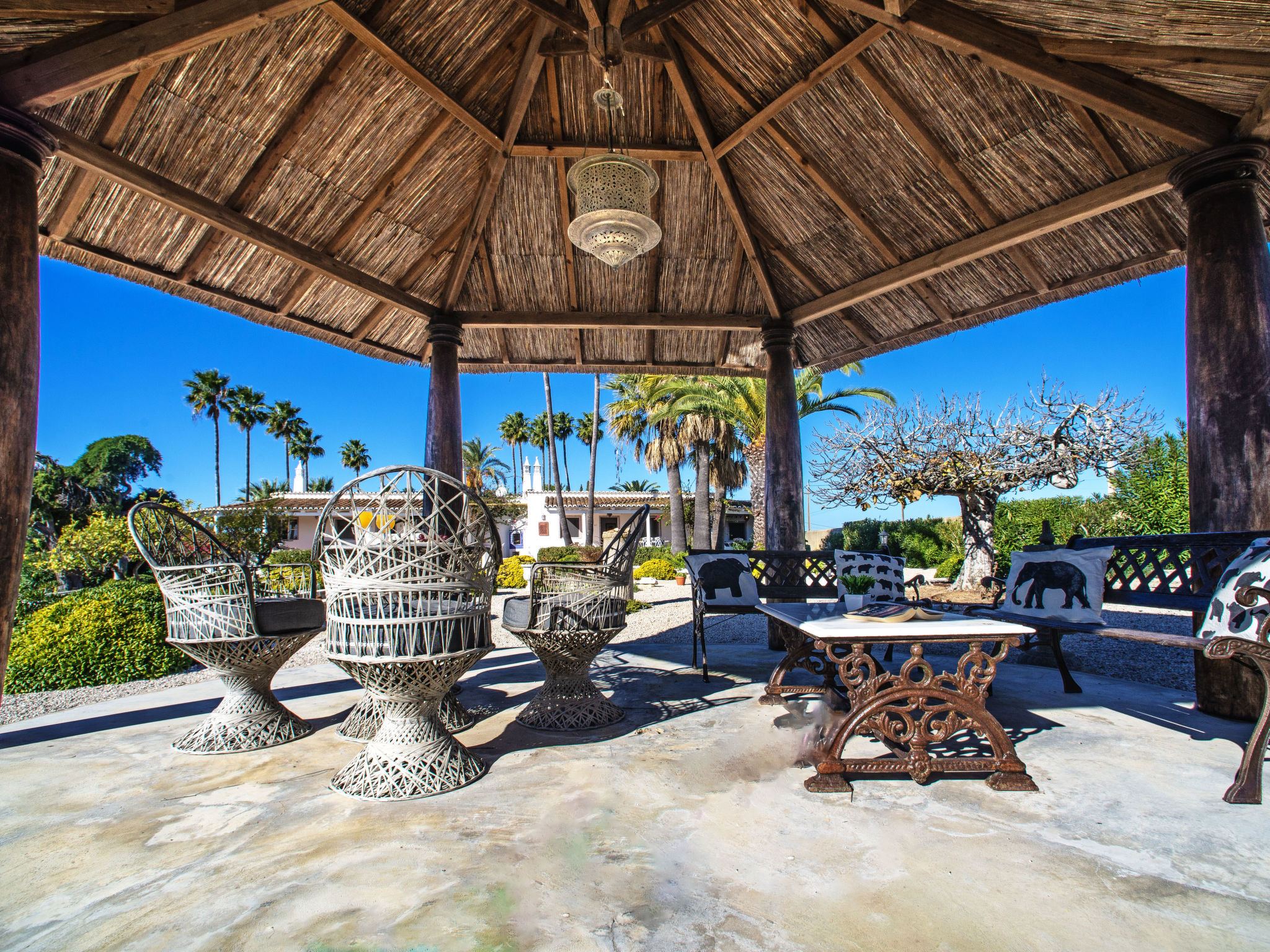 Photo of Luz Romana B2