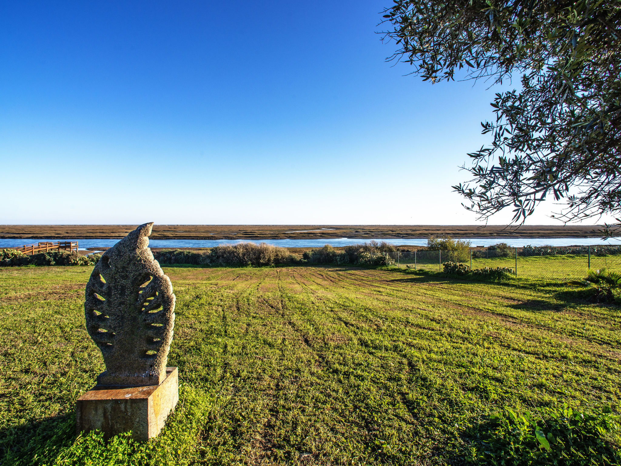 Photo of Luz Romana B2