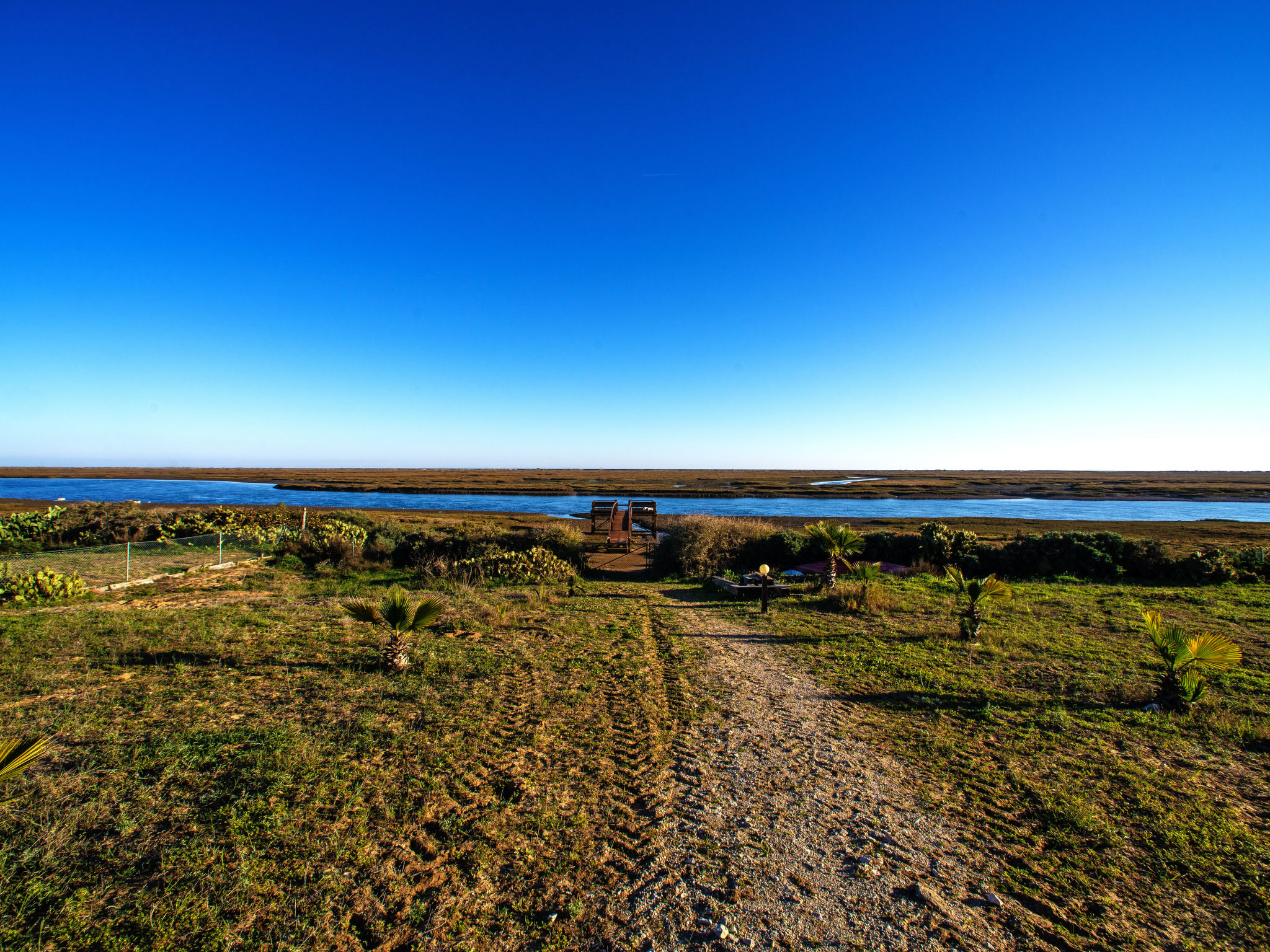 Photo of Luz Romana B2