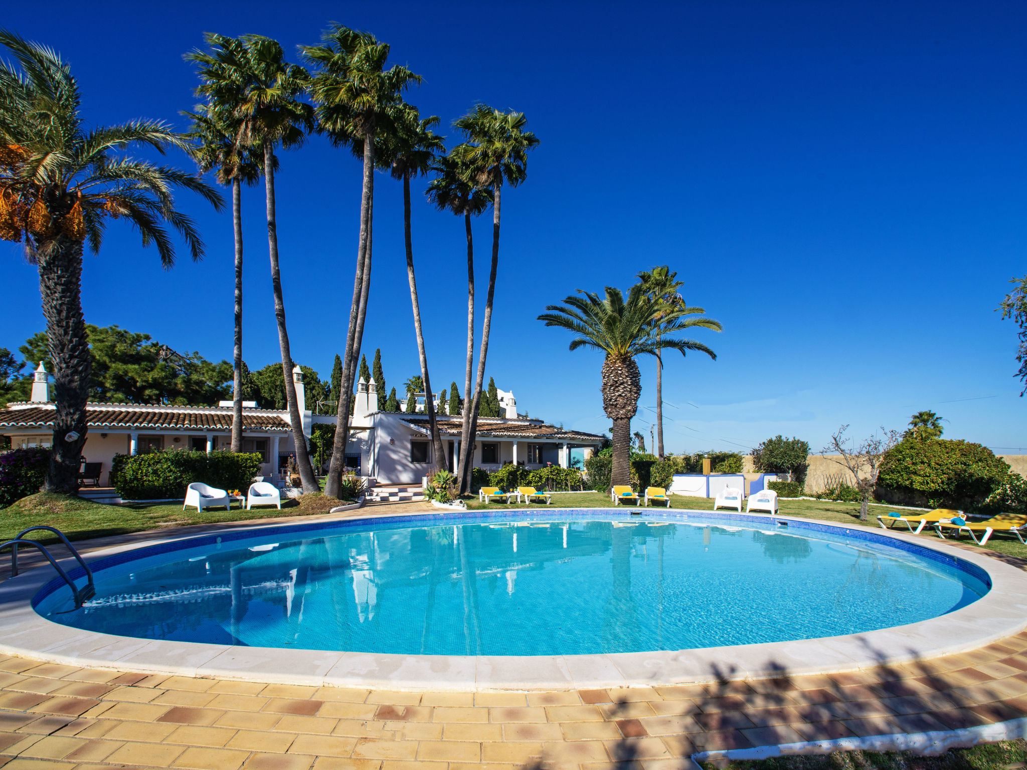 Photo of Luz Romana B2