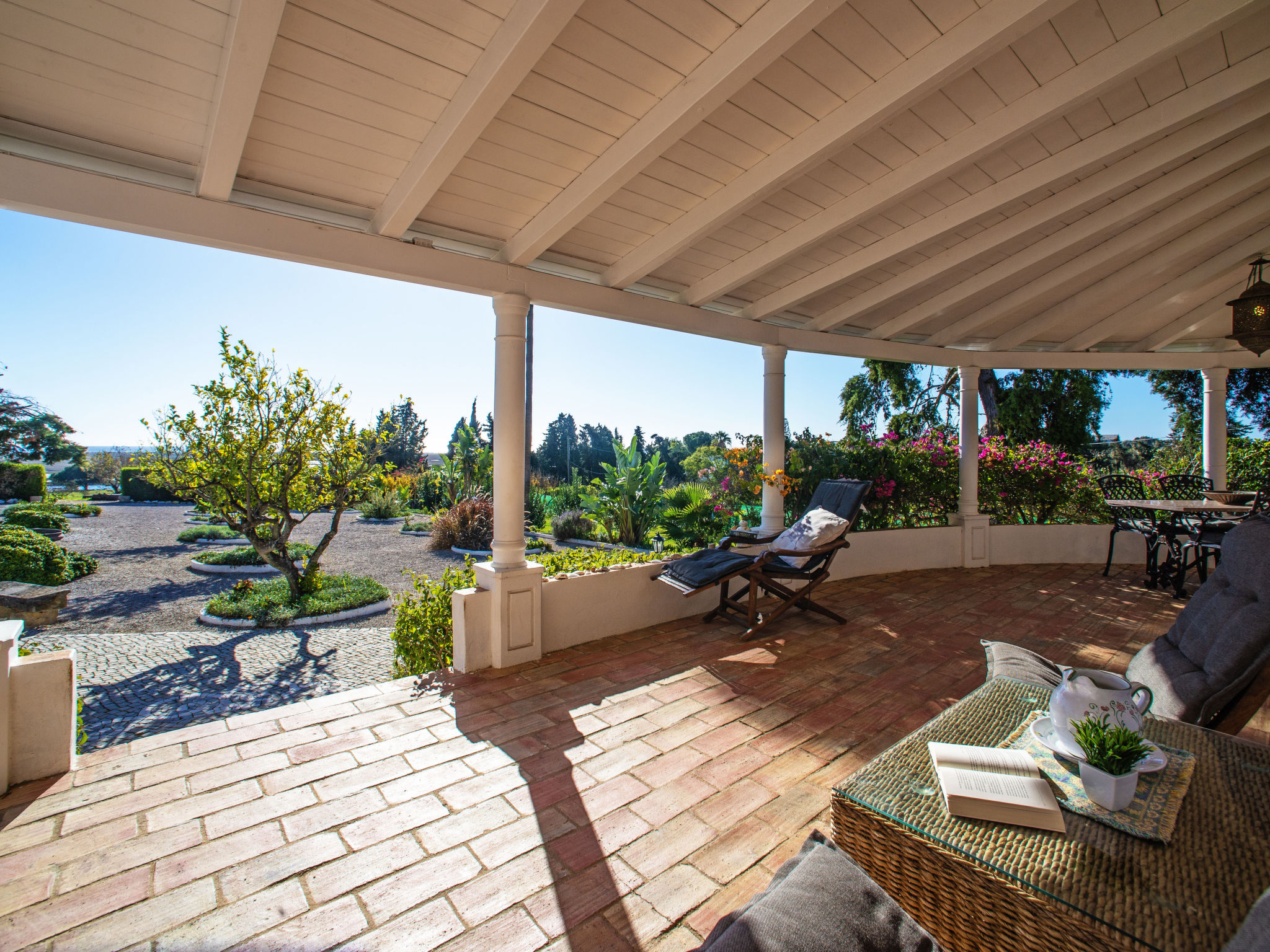 Photo of Luz Romana B2