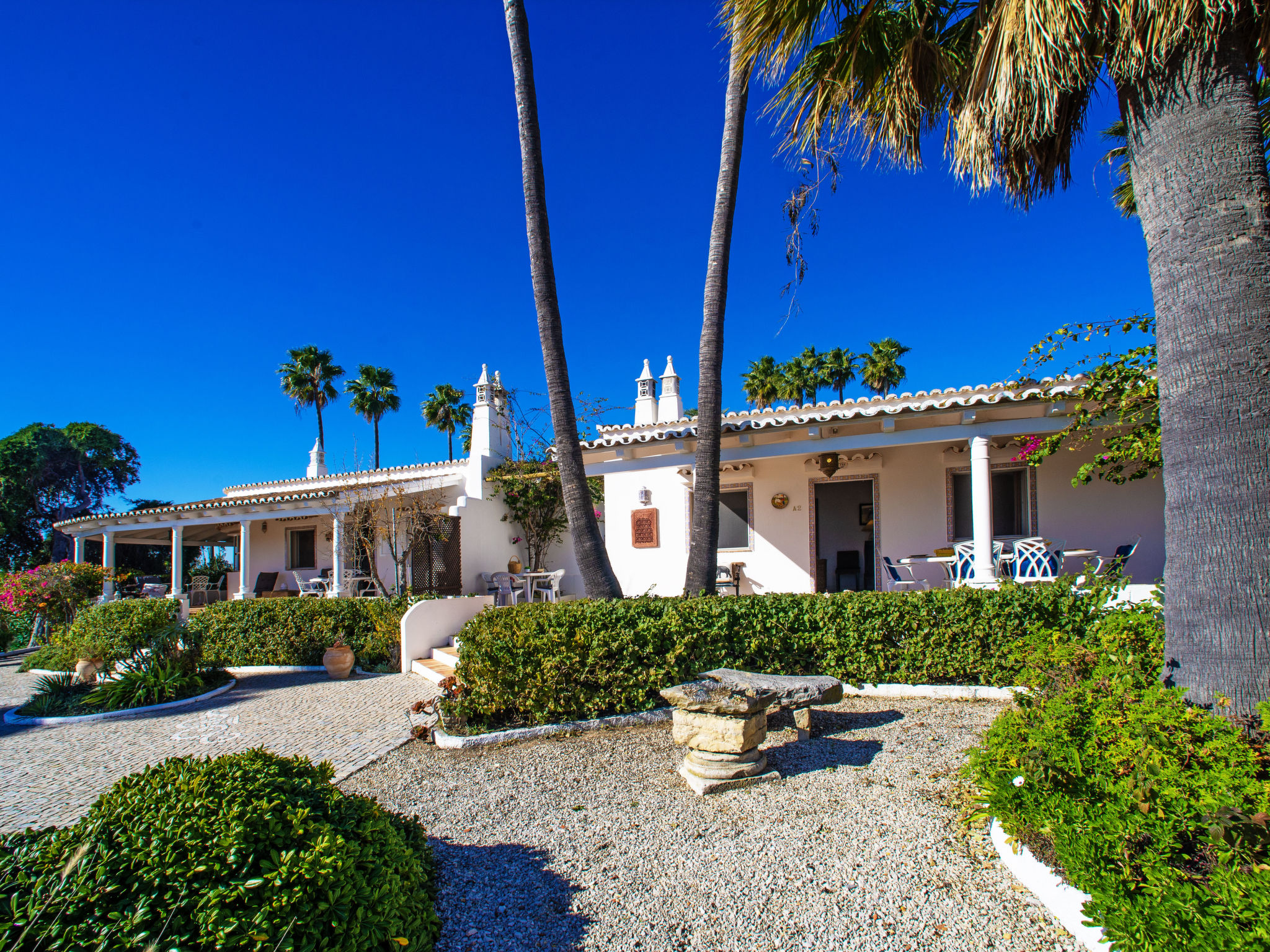 Photo of Luz Romana B2