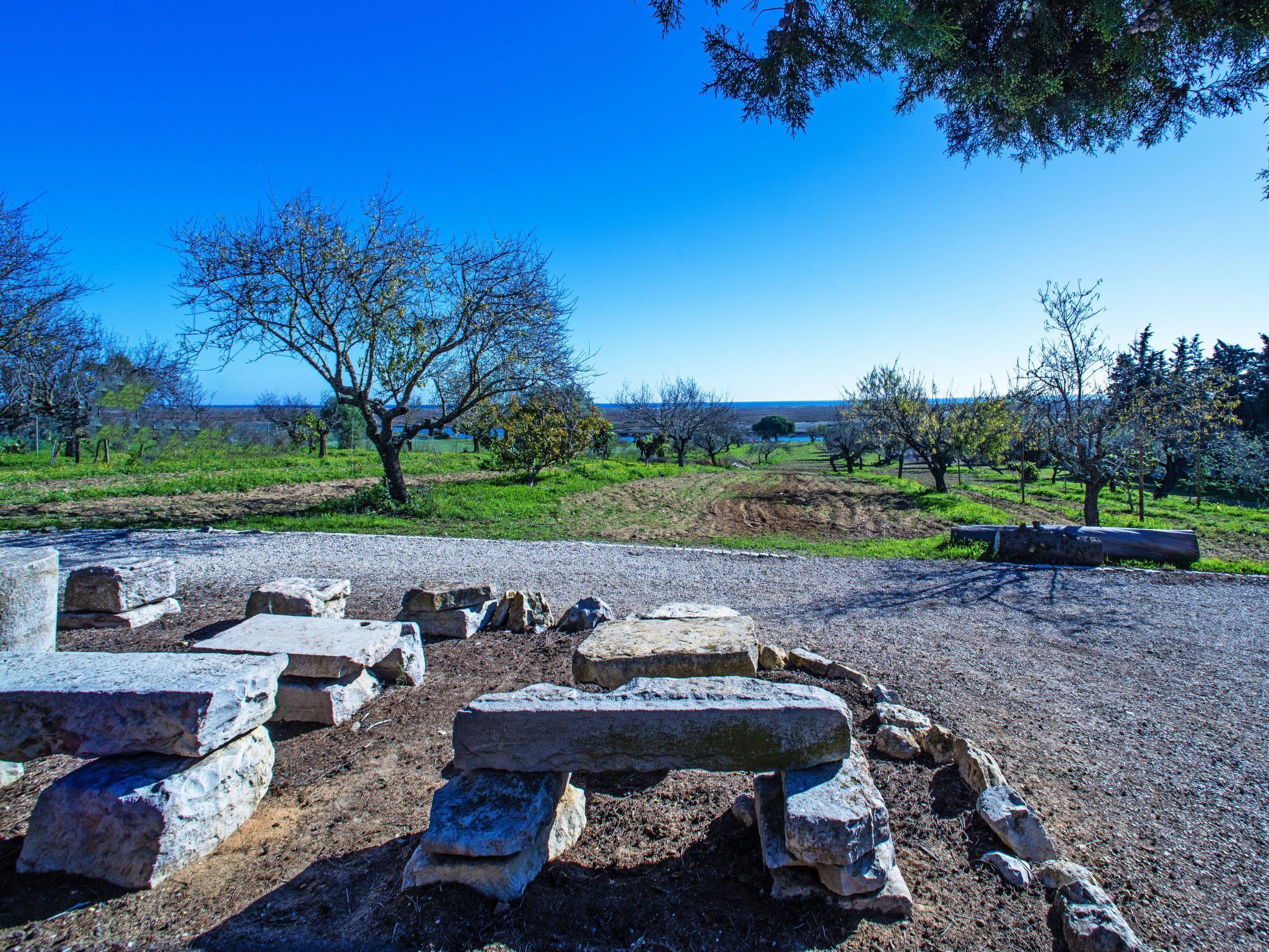 Photo of Luz Romana B2