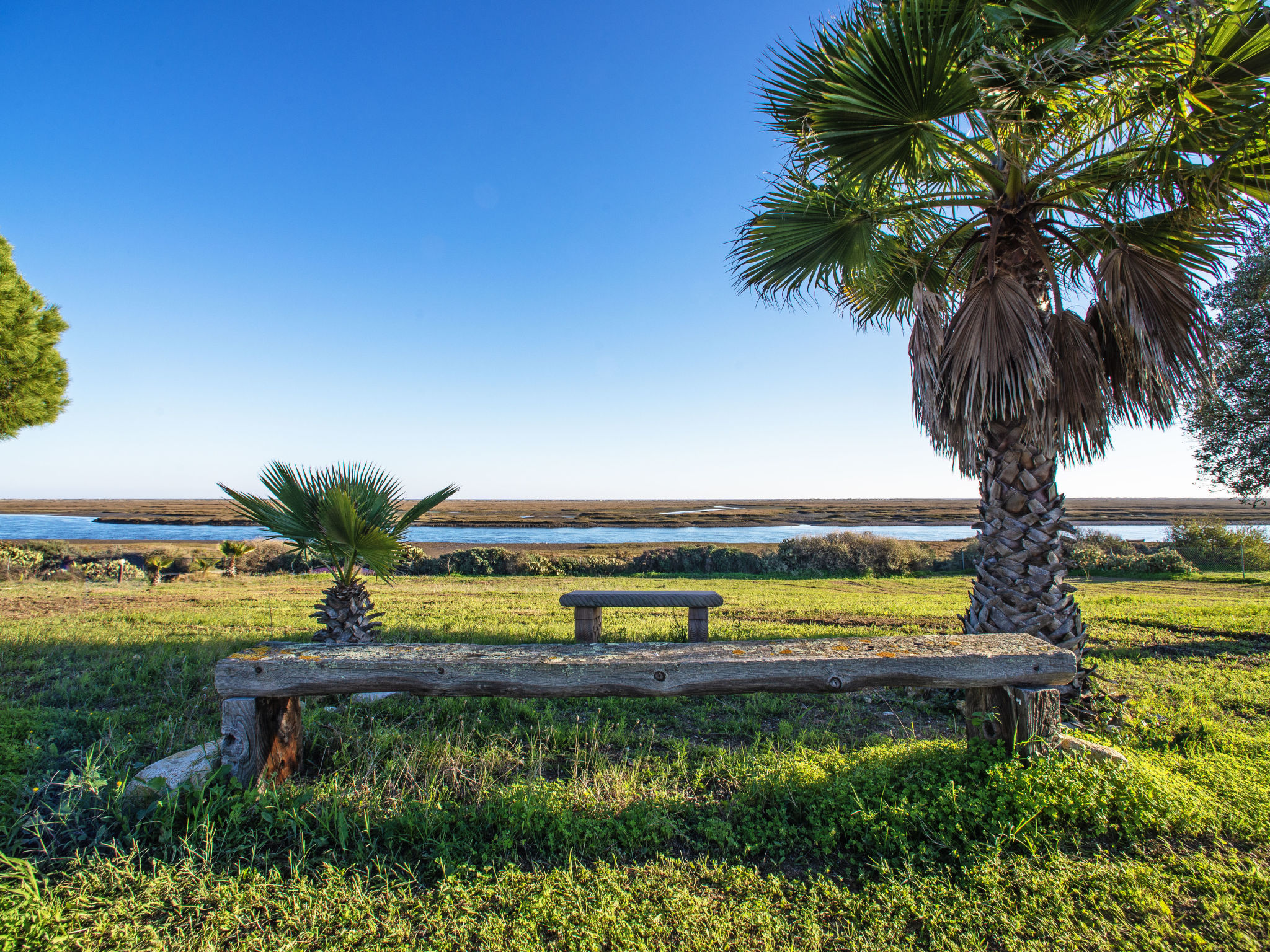 Photo of Luz Romana B2