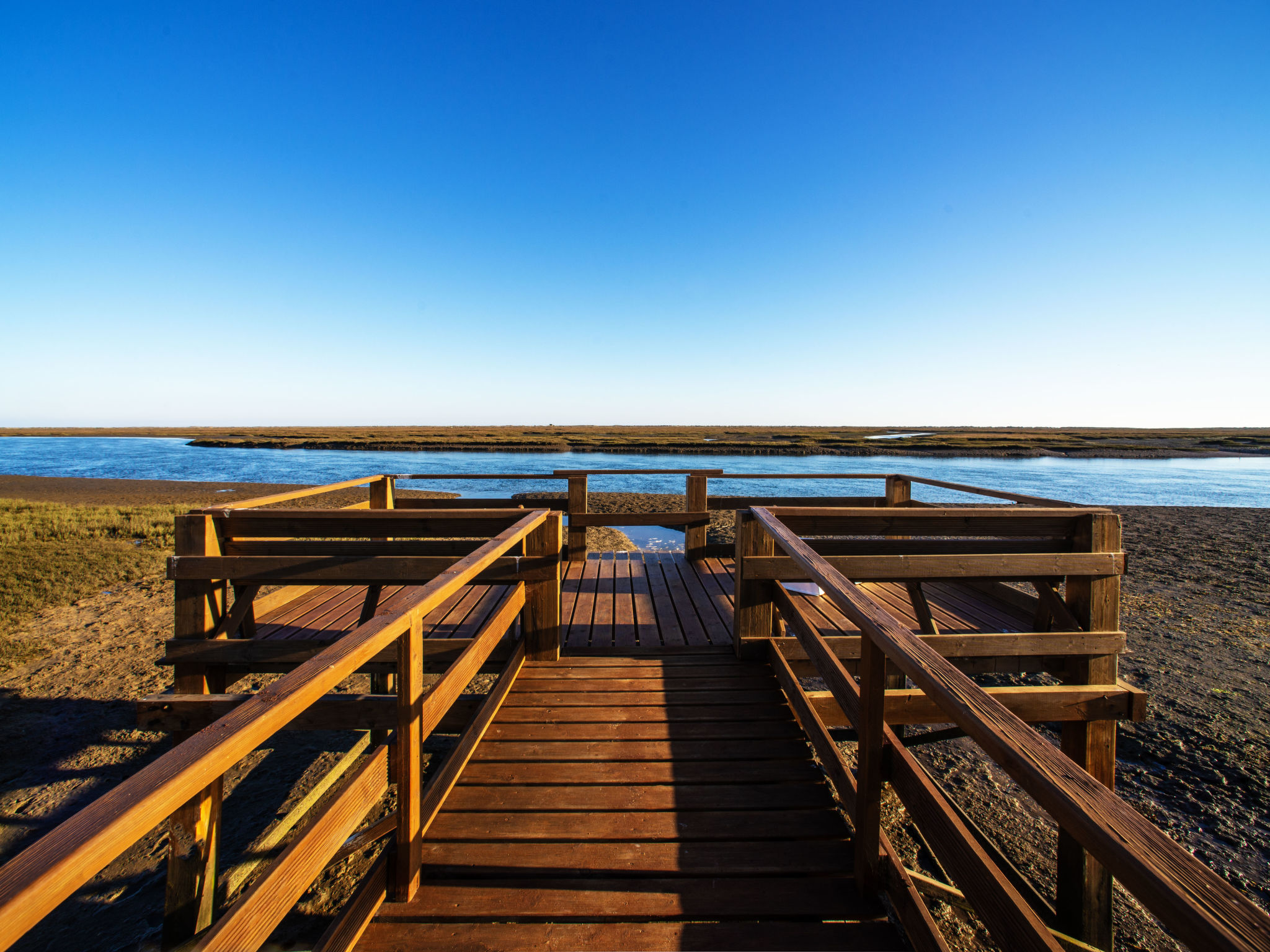 Photo of Luz Romana B2