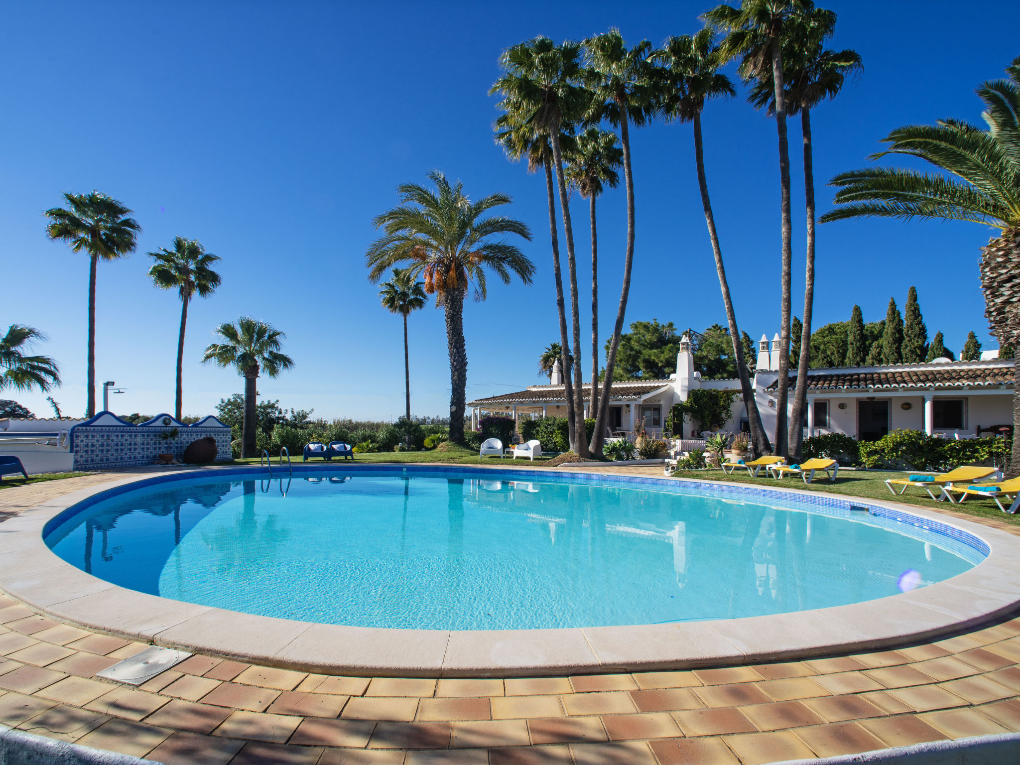 Photo of Luz Romana A1