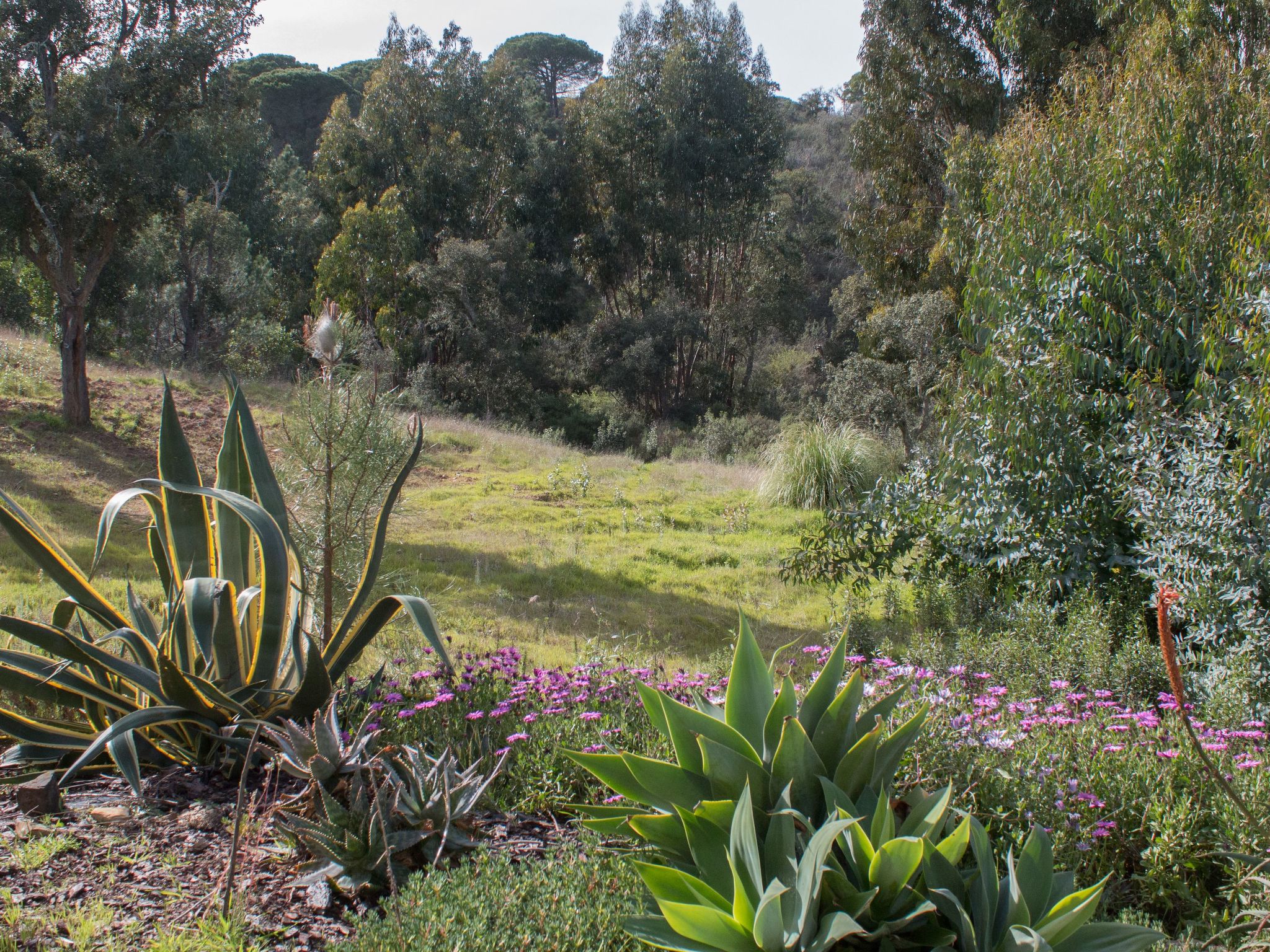 Monte Horizonte Casa Oliveira Öko und Natur-Image-tags.info